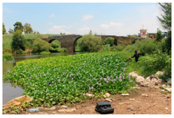 Remotesensing 11 01856 i006