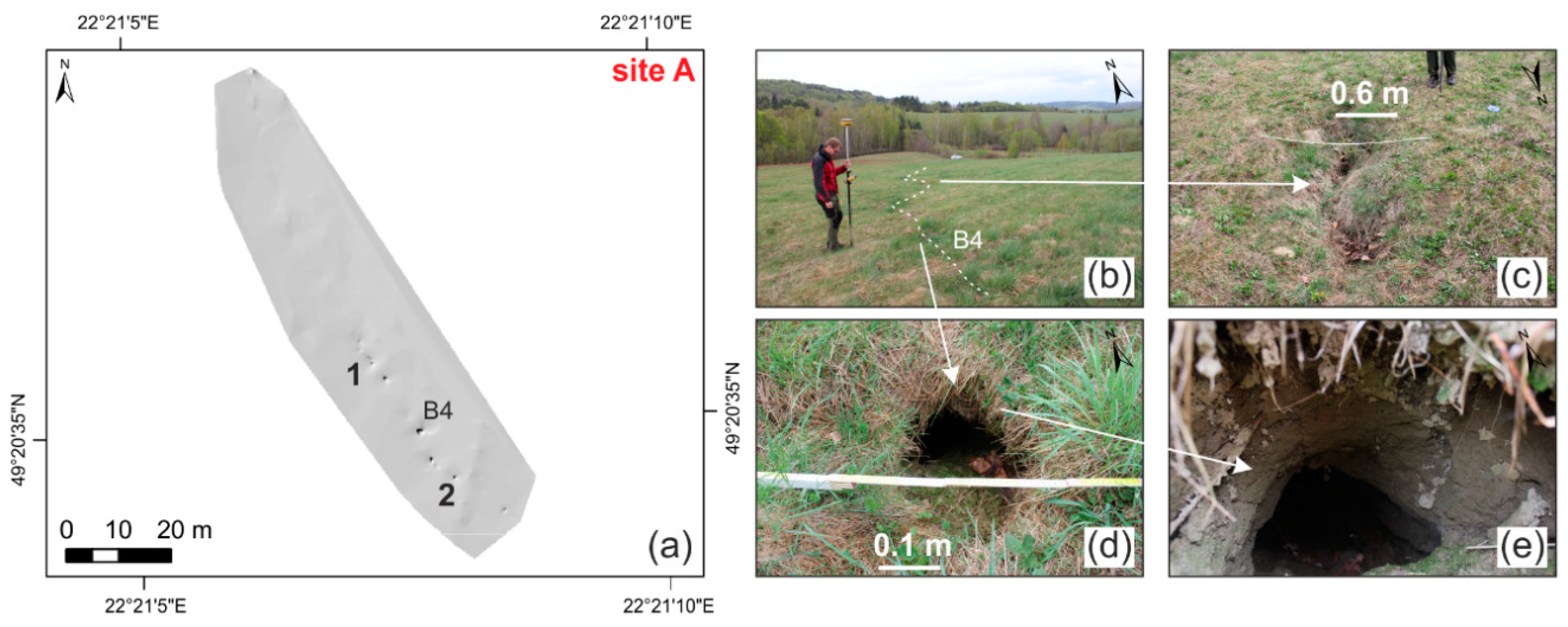 Remotesensing 11 01864 g004