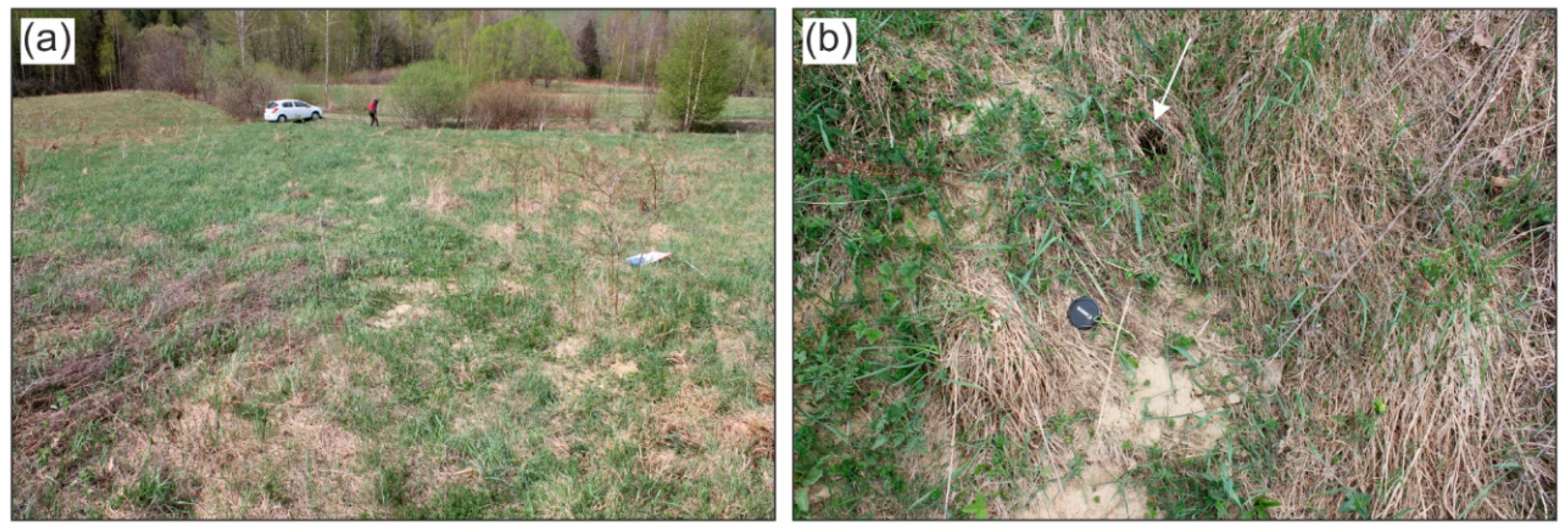 Remotesensing 11 01864 g006