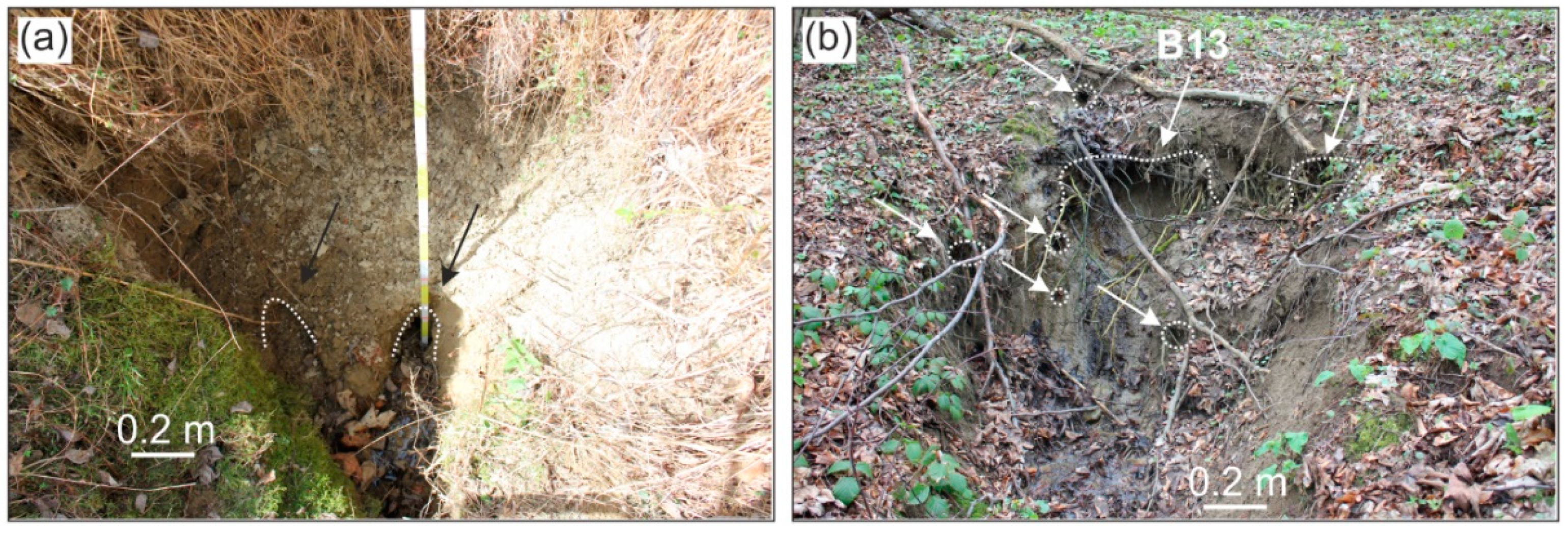 Remotesensing 11 01864 g009