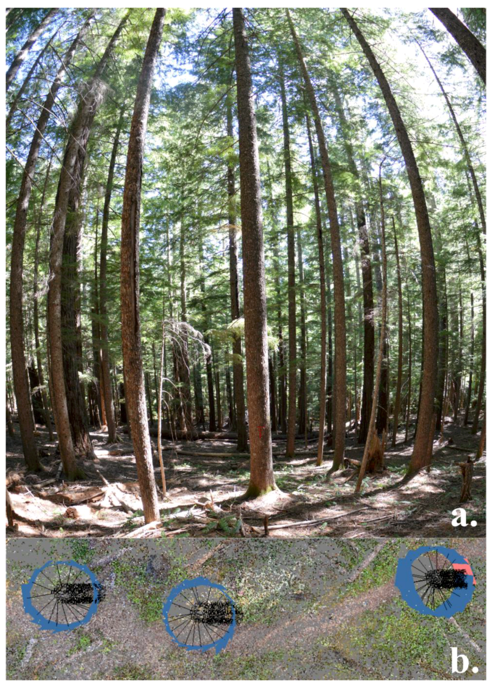 Remotesensing 11 01877 g003