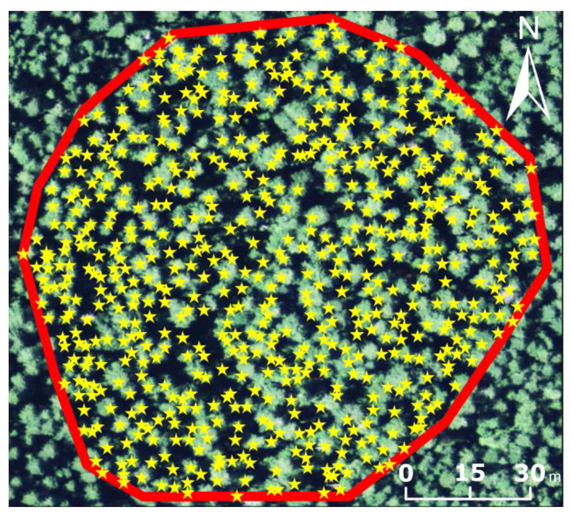 Remotesensing 11 01877 g004