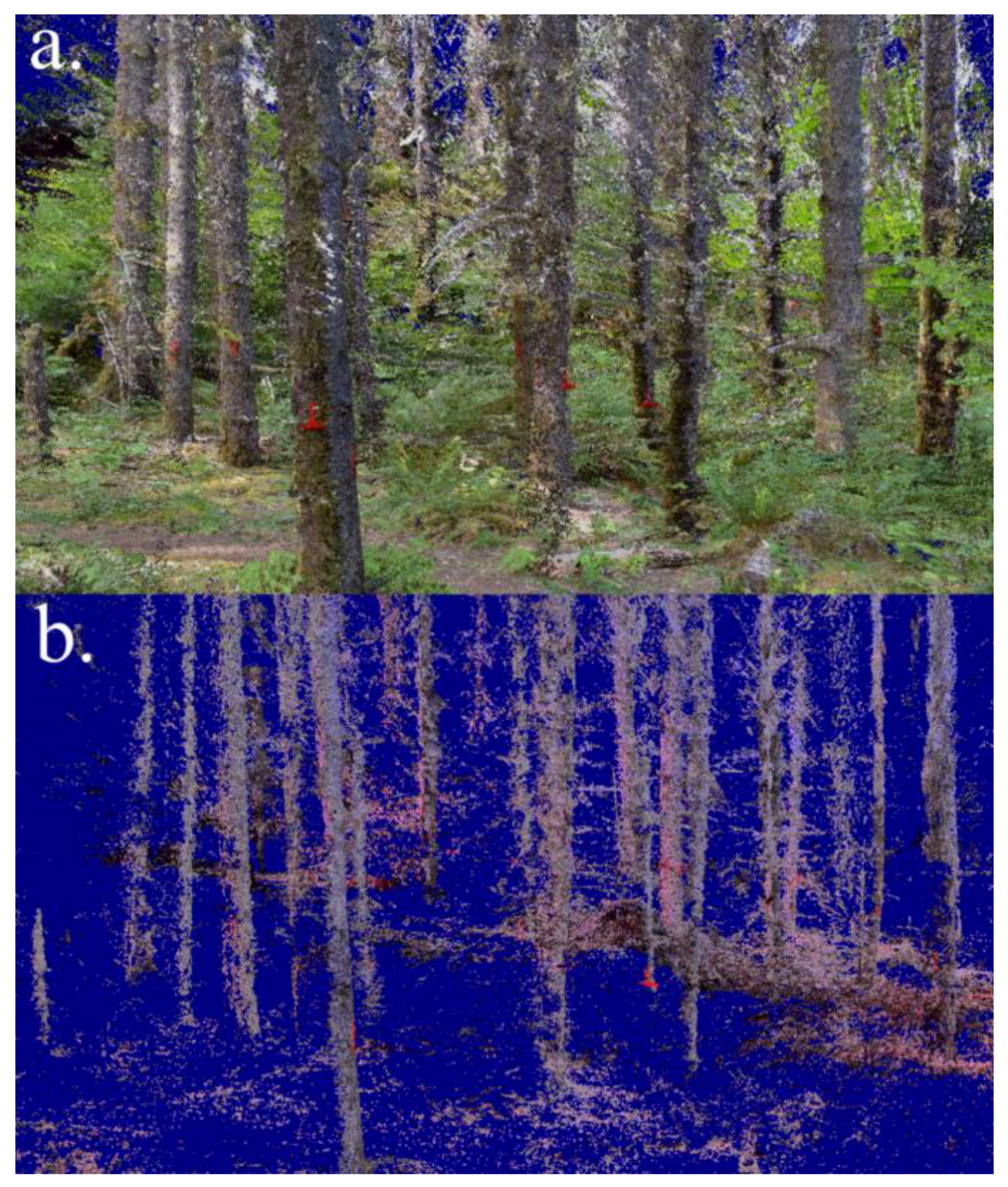 Remotesensing 11 01877 g006