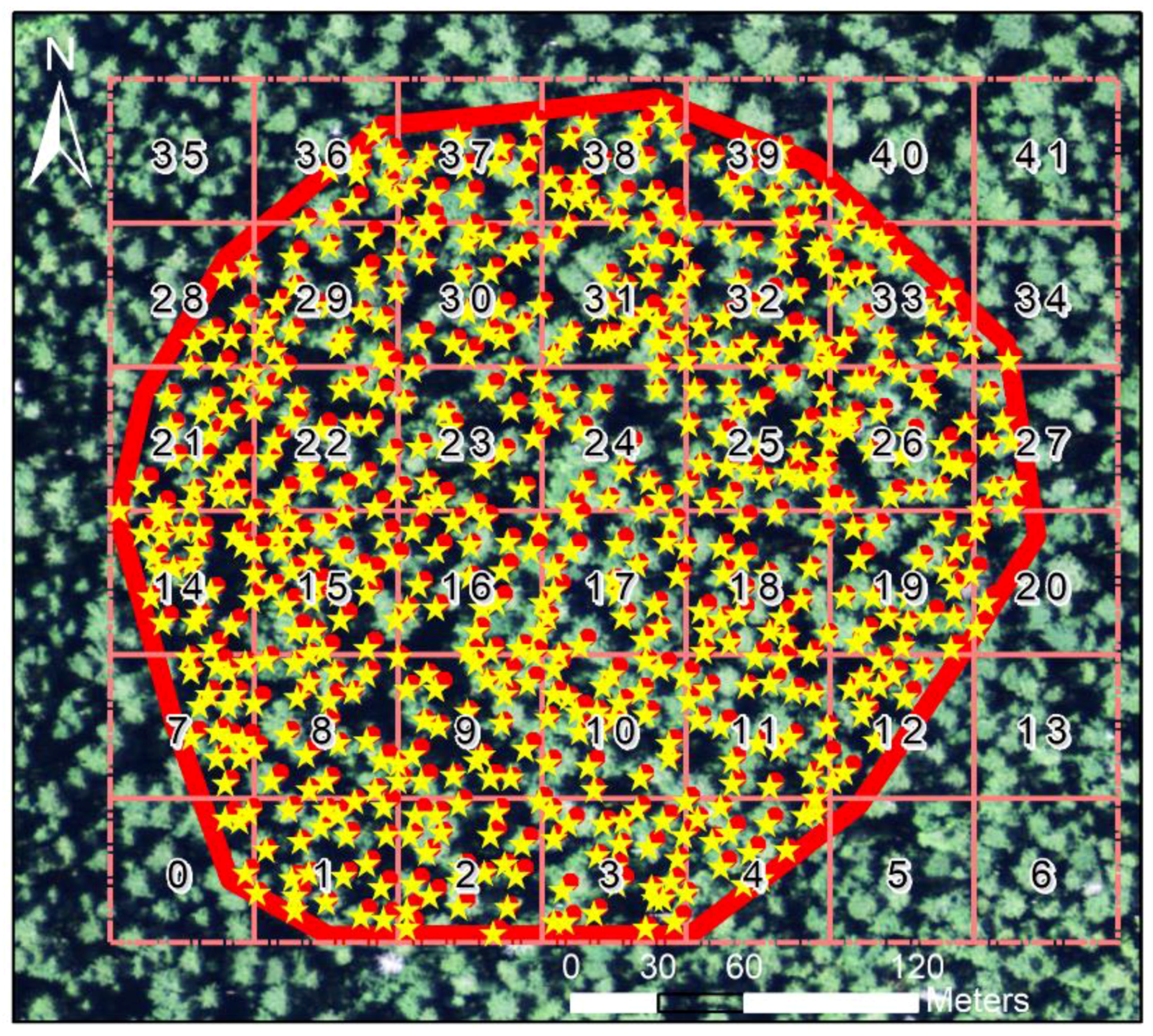 Remotesensing 11 01877 g008