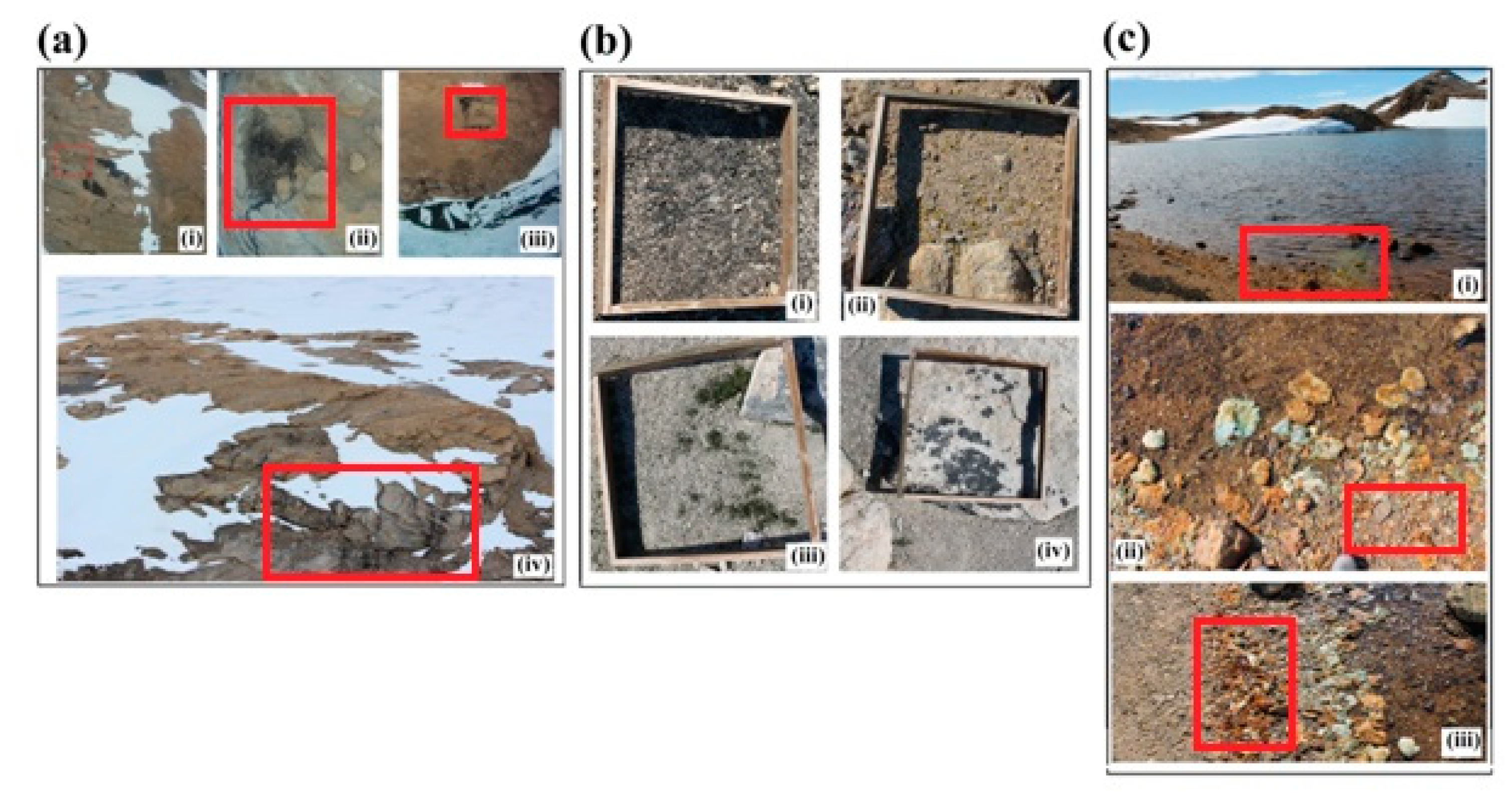 Remotesensing 11 01909 g003