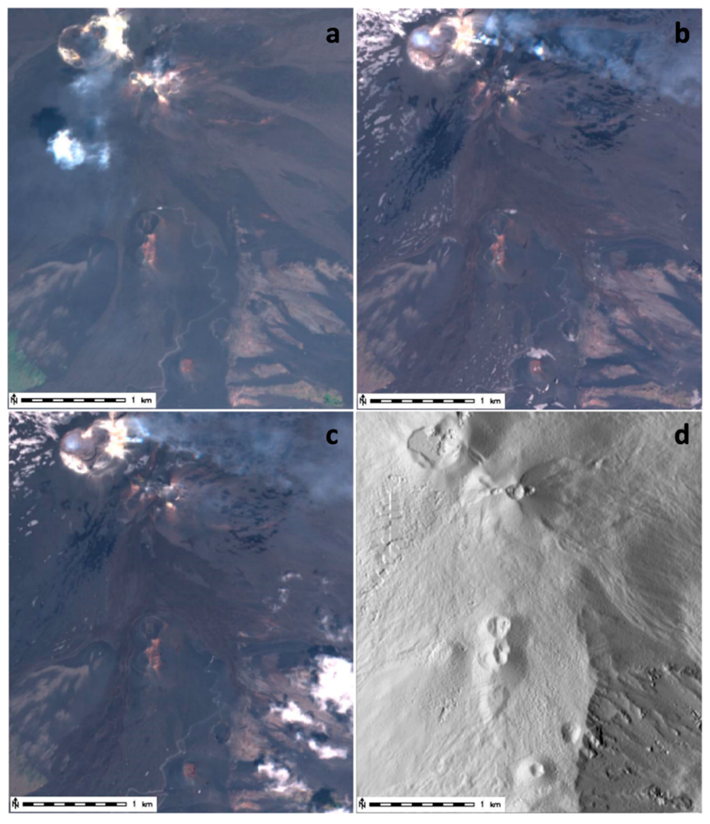 Remotesensing 11 01916 g004