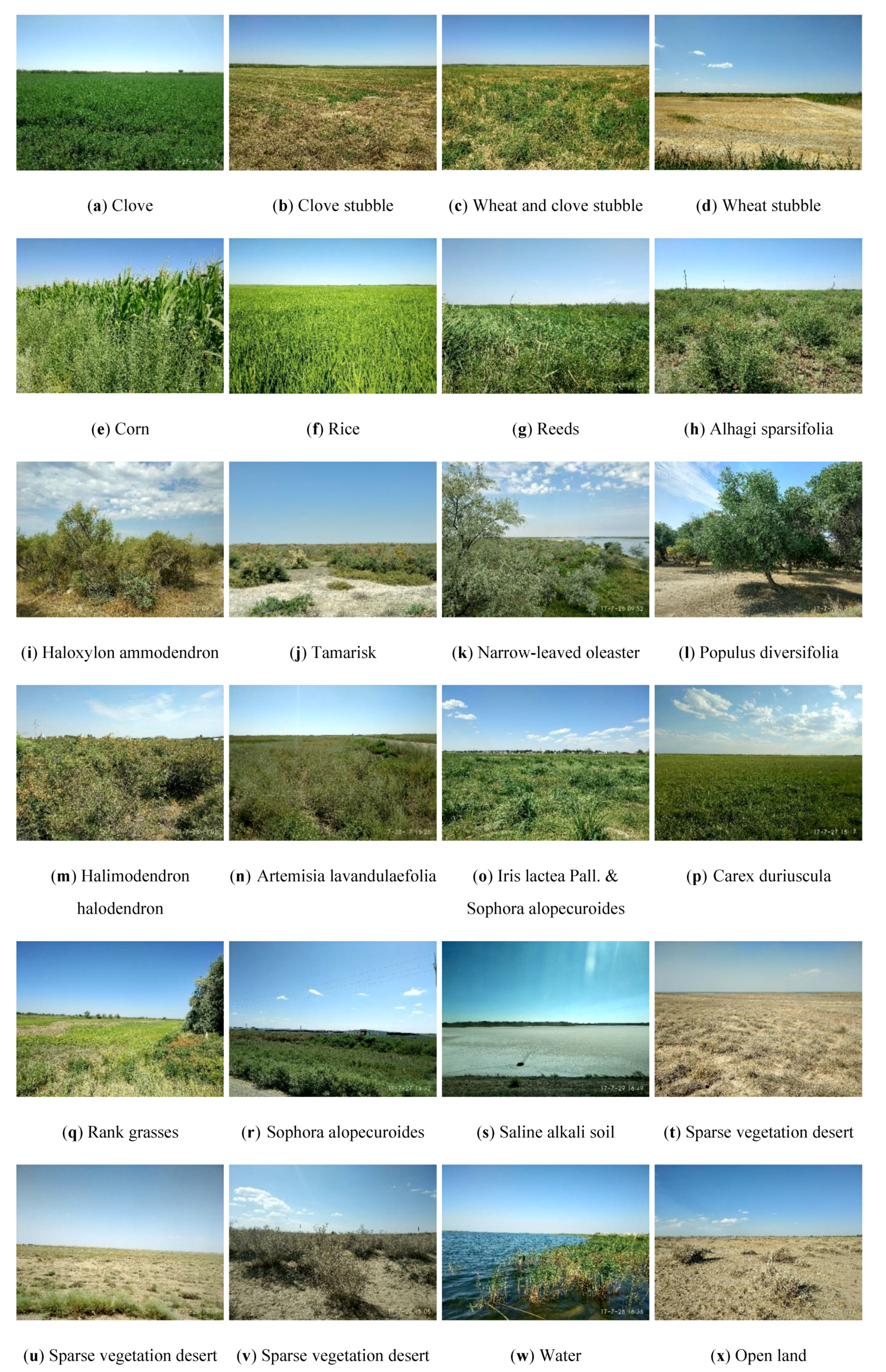 Remotesensing 11 01953 g002 Remotesensing 11 01953 g002