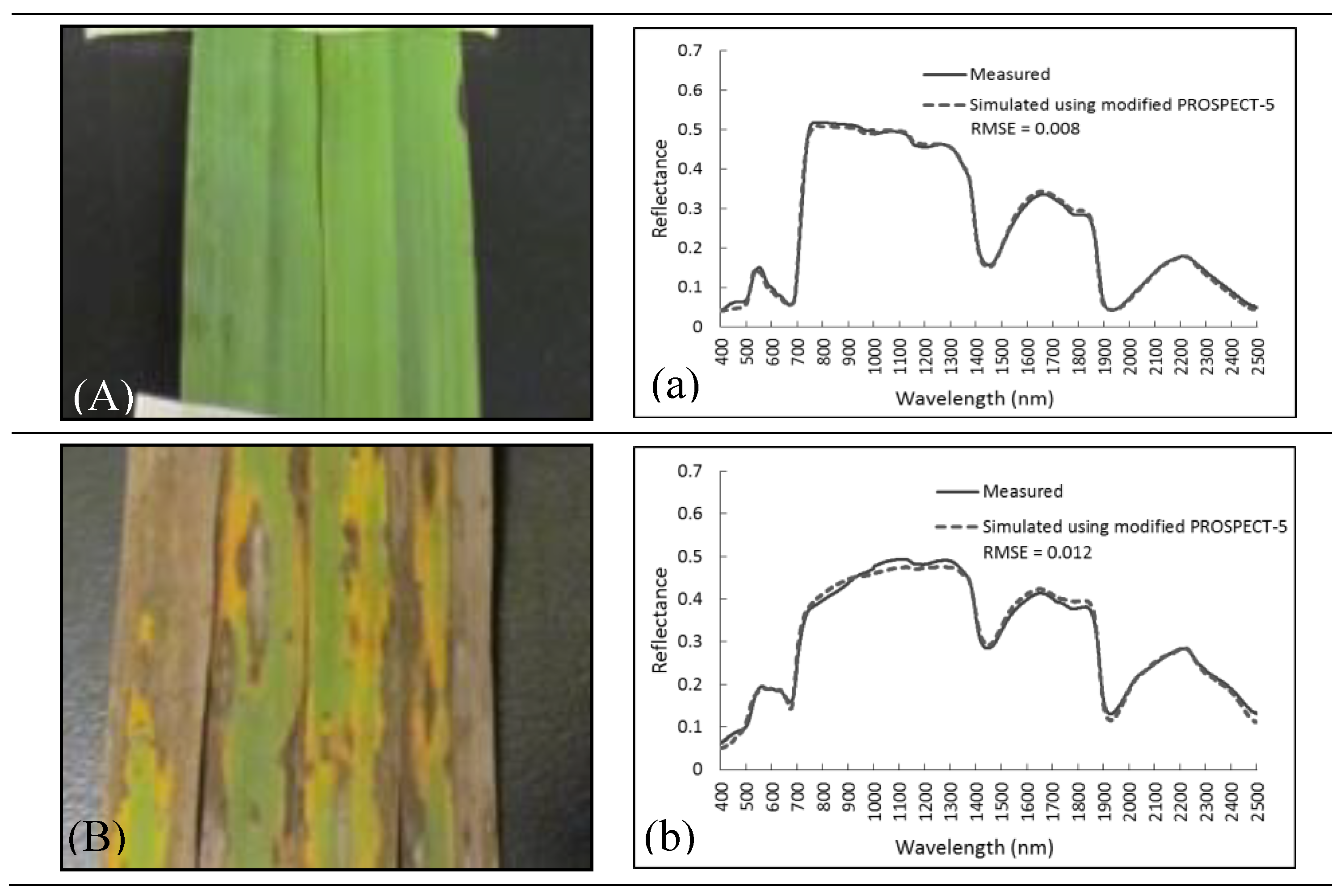 Remotesensing 11 01979 g007a