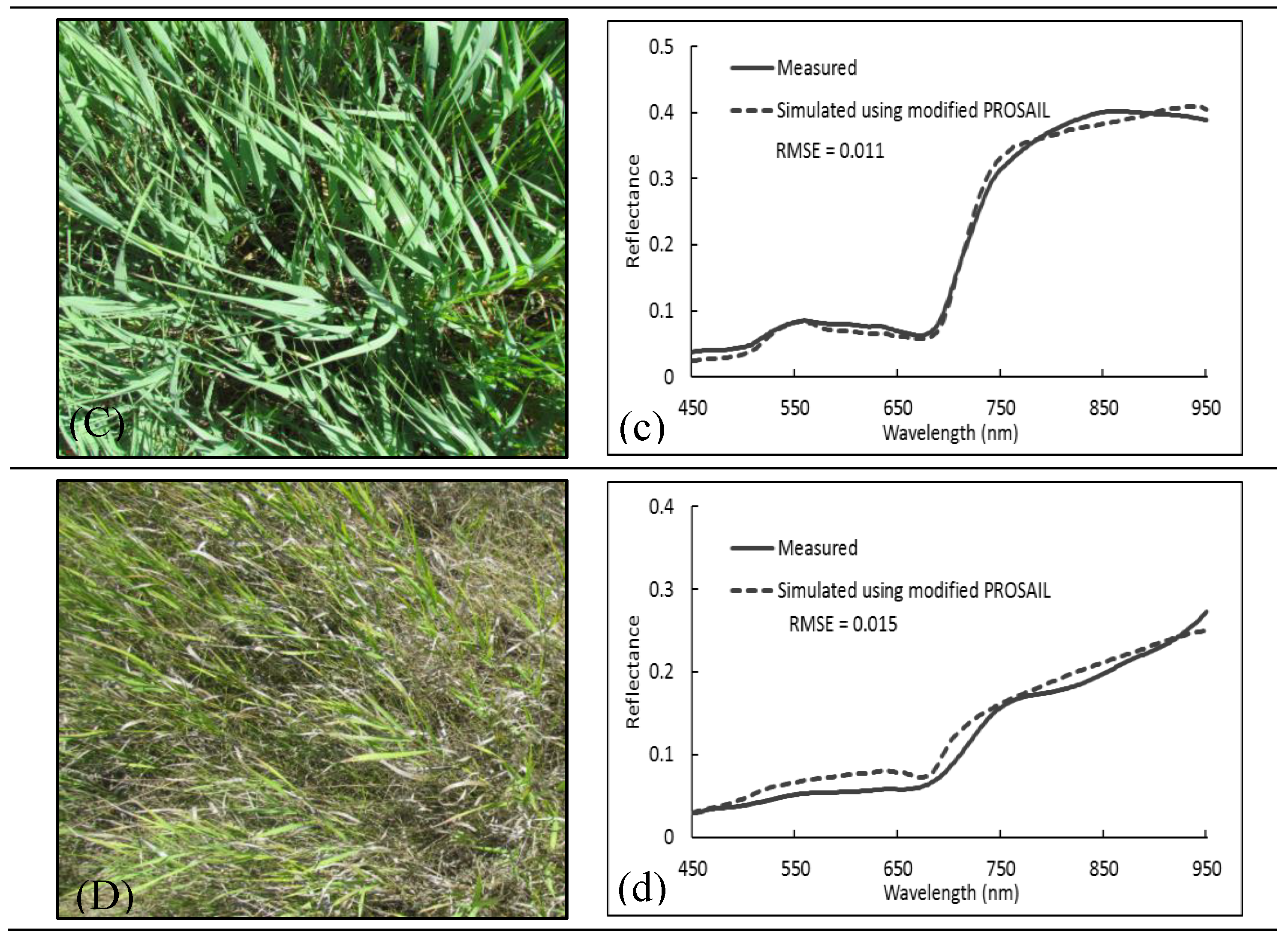 Remotesensing 11 01979 g007b