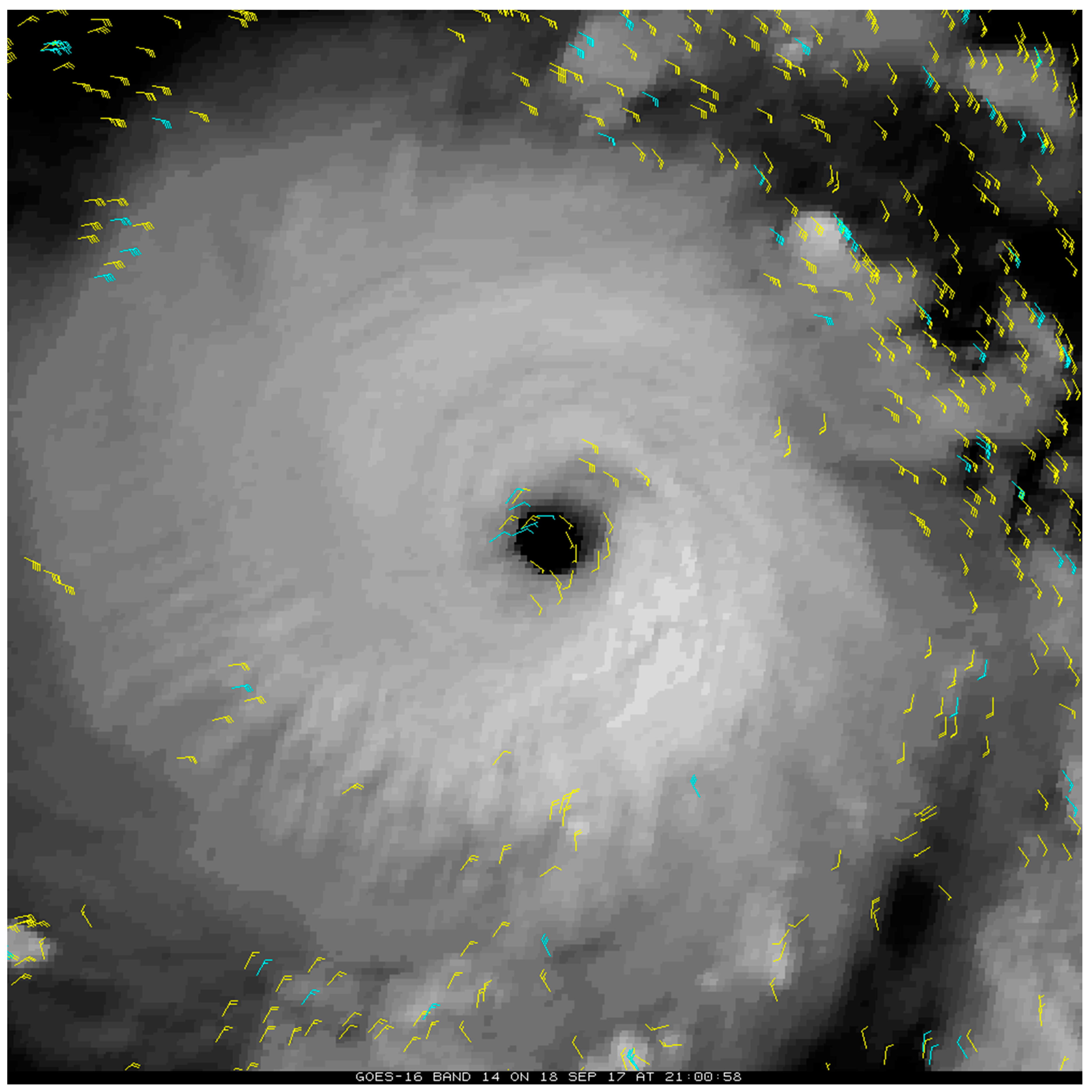 Remotesensing 11 01981 g002