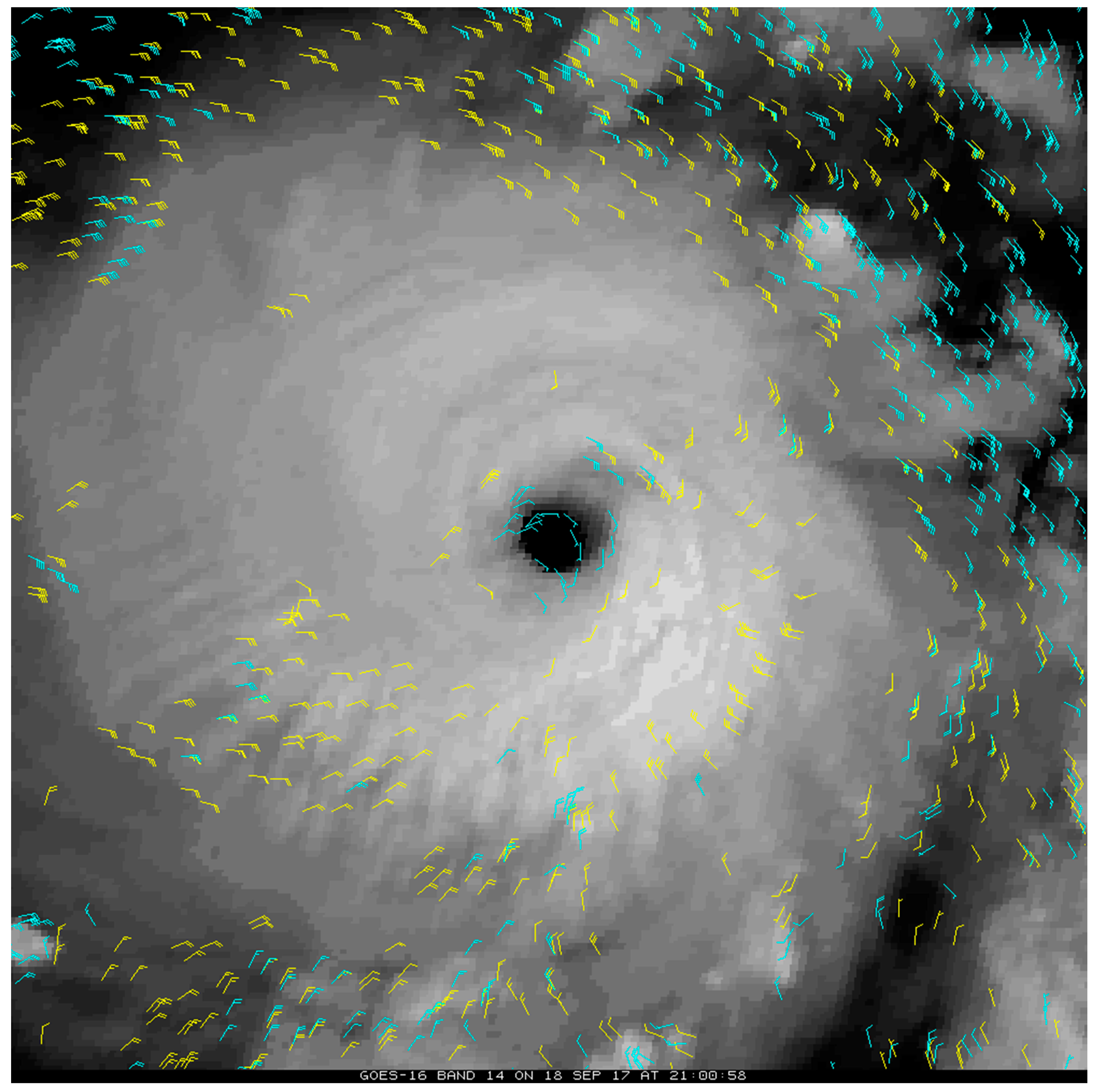 Remotesensing 11 01981 g003