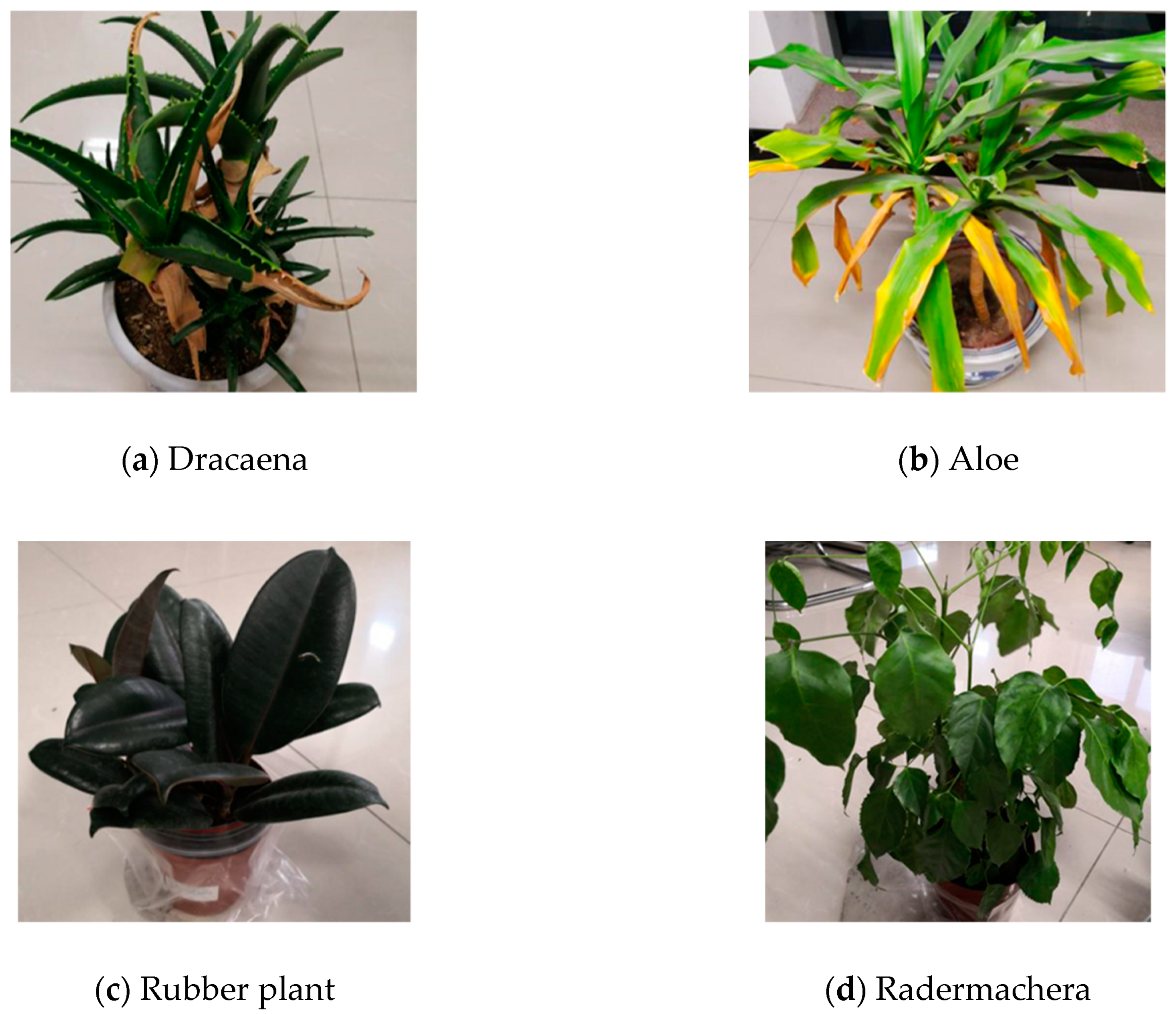 Remotesensing 11 02007 g006