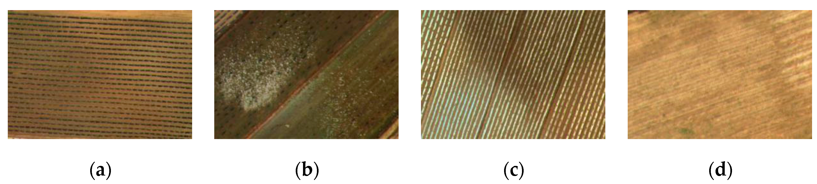 Remotesensing 11 02008 g003