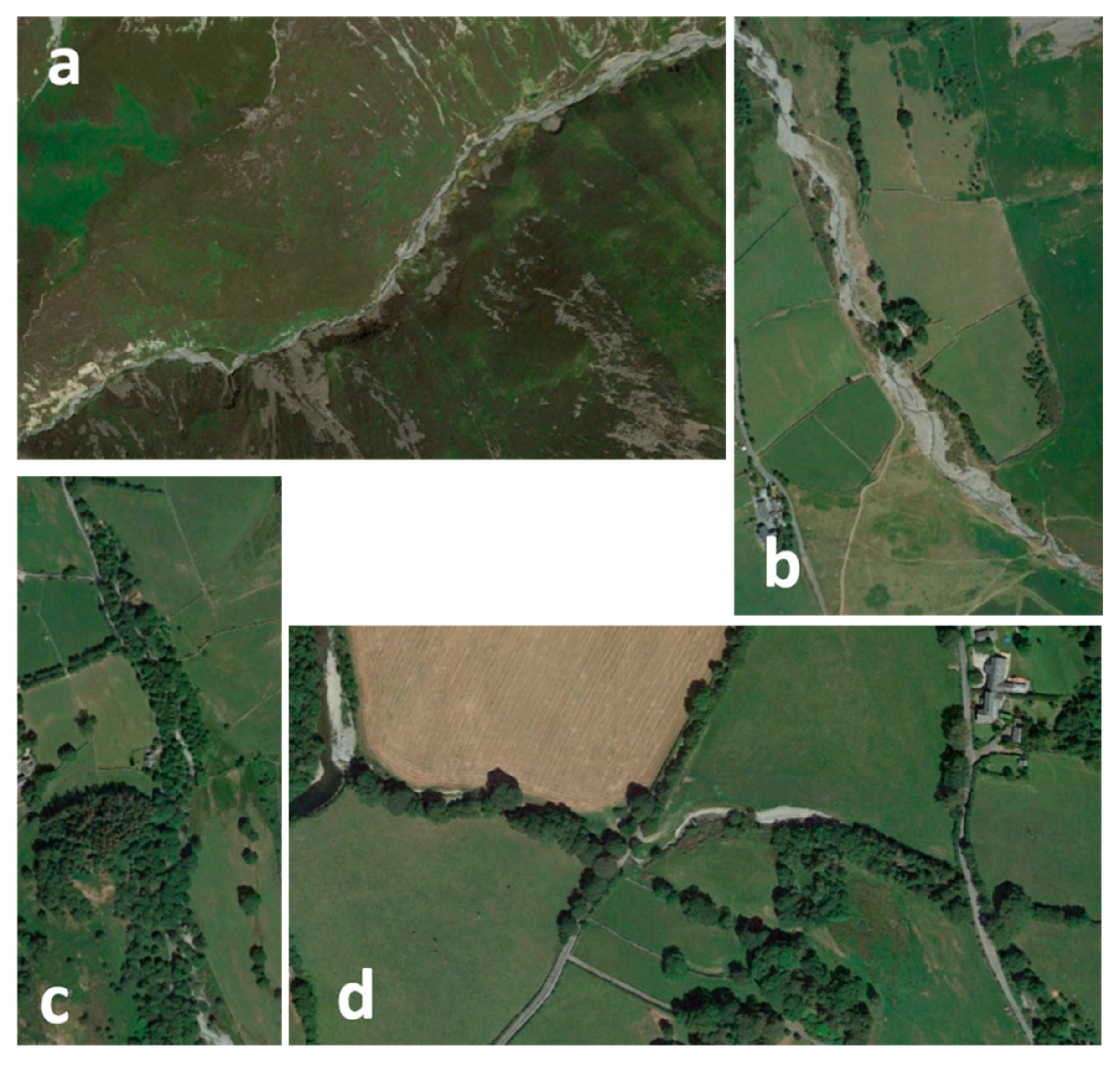 Remotesensing 11 02031 g002