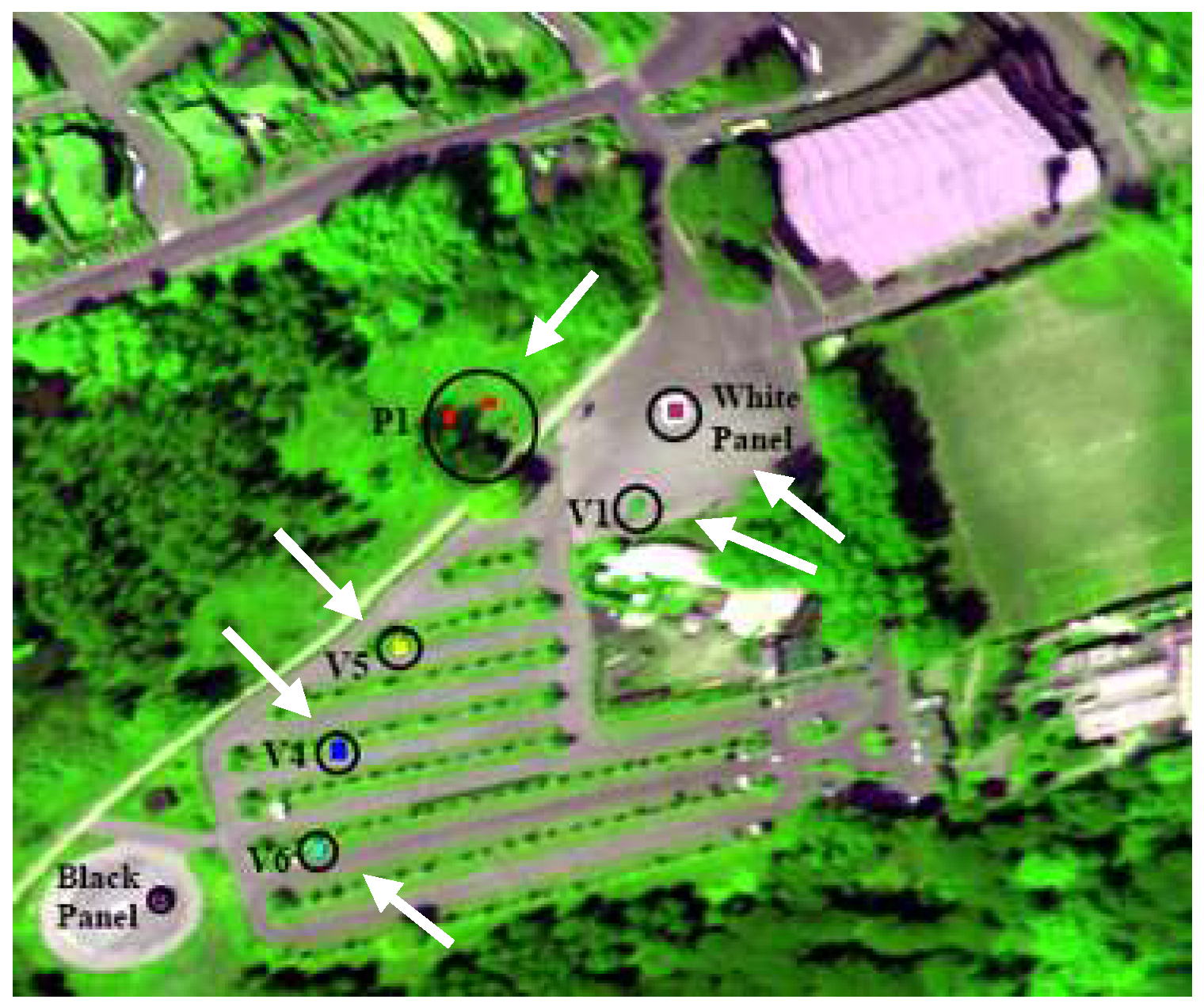 Remotesensing 11 02049 g004