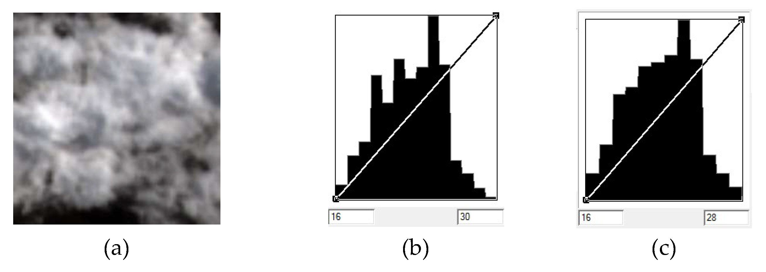 Remotesensing 11 02060 g004