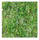 Remotesensing 11 02085 i001