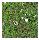 Remotesensing 11 02085 i002