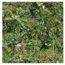 Remotesensing 11 02085 i003