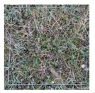 Remotesensing 11 02085 i004