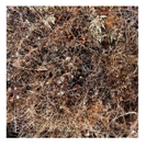 Remotesensing 11 02085 i005