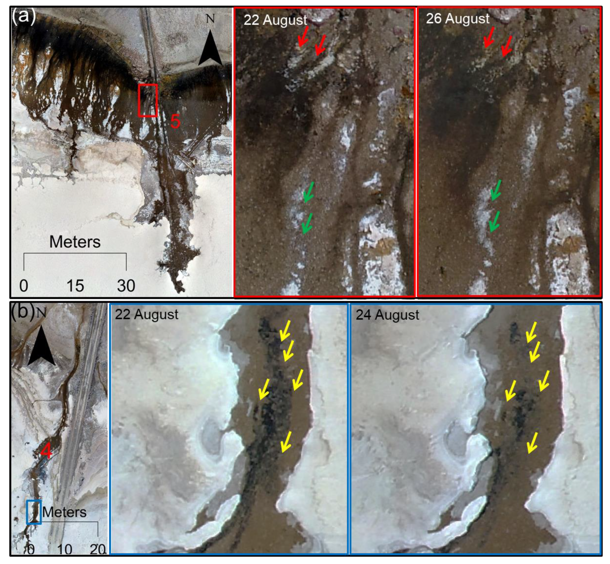Remotesensing 11 02104 g009