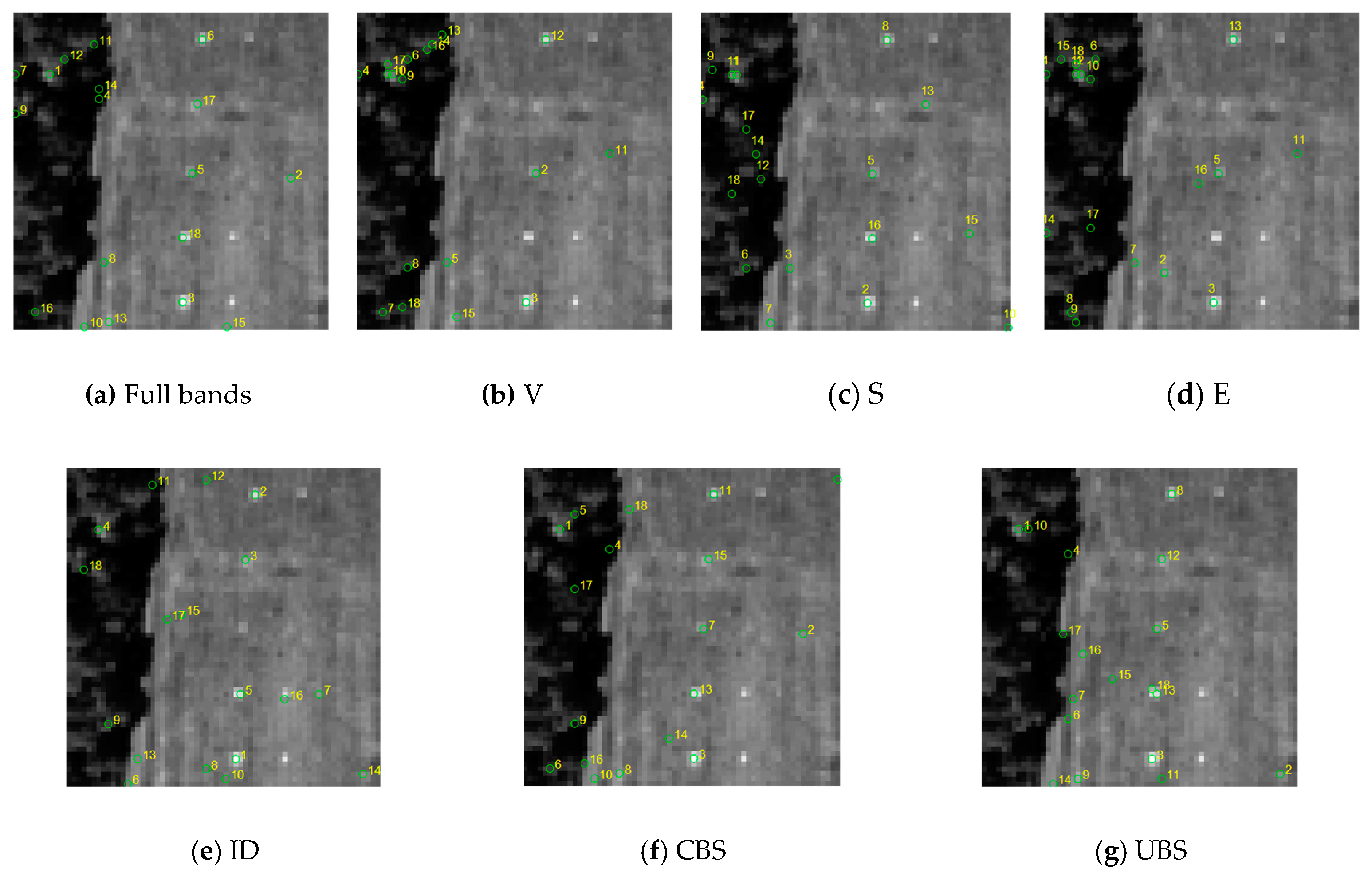 Remotesensing 11 02125 g004