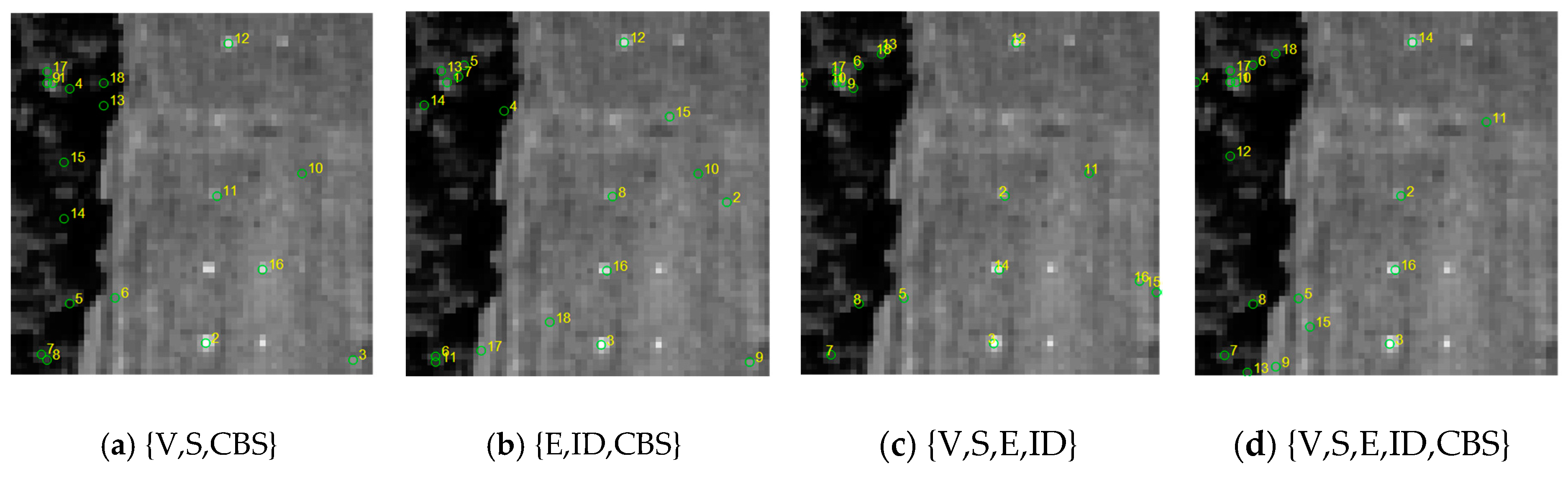 Remotesensing 11 02125 g005