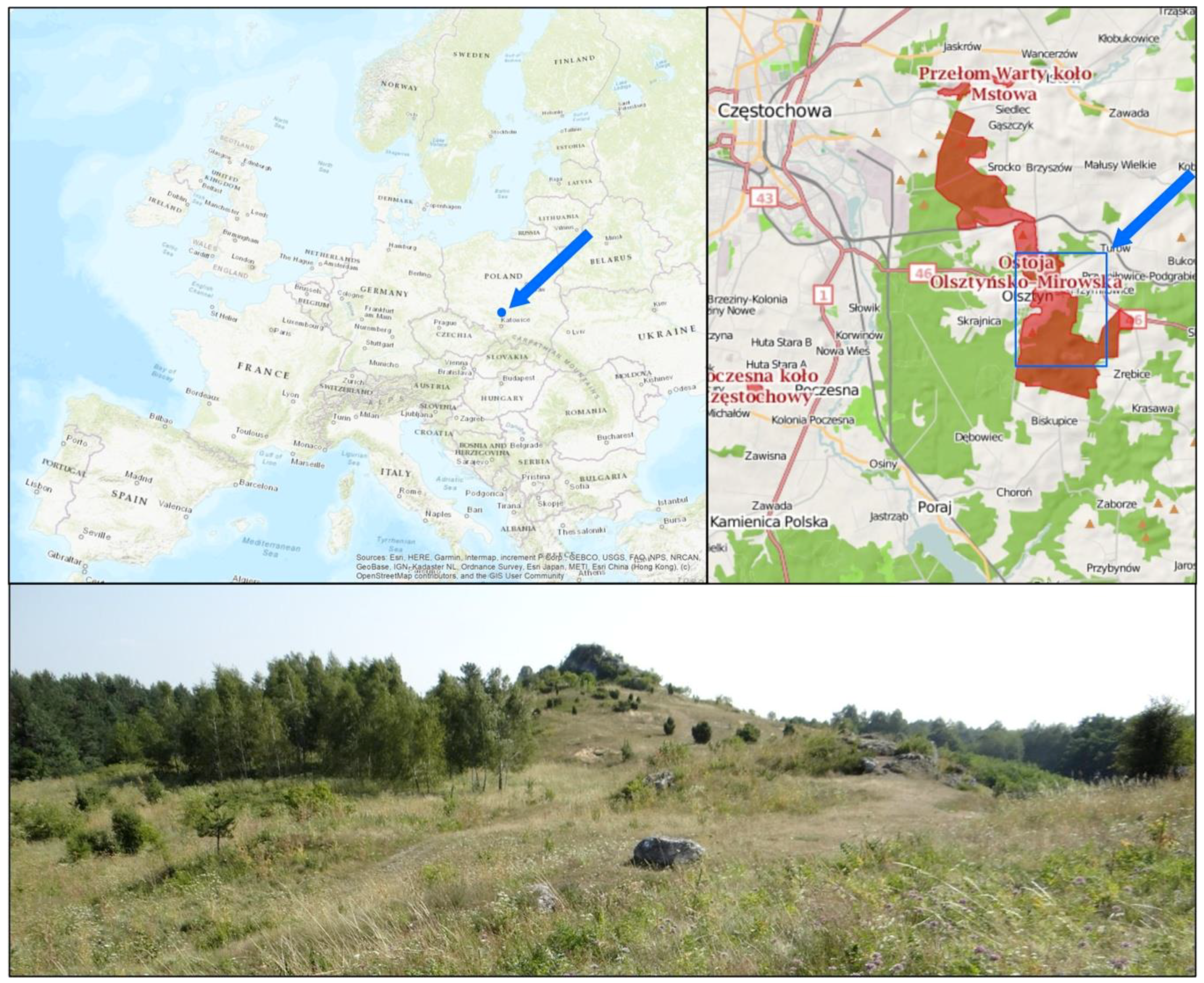 Remotesensing 11 02182 g001