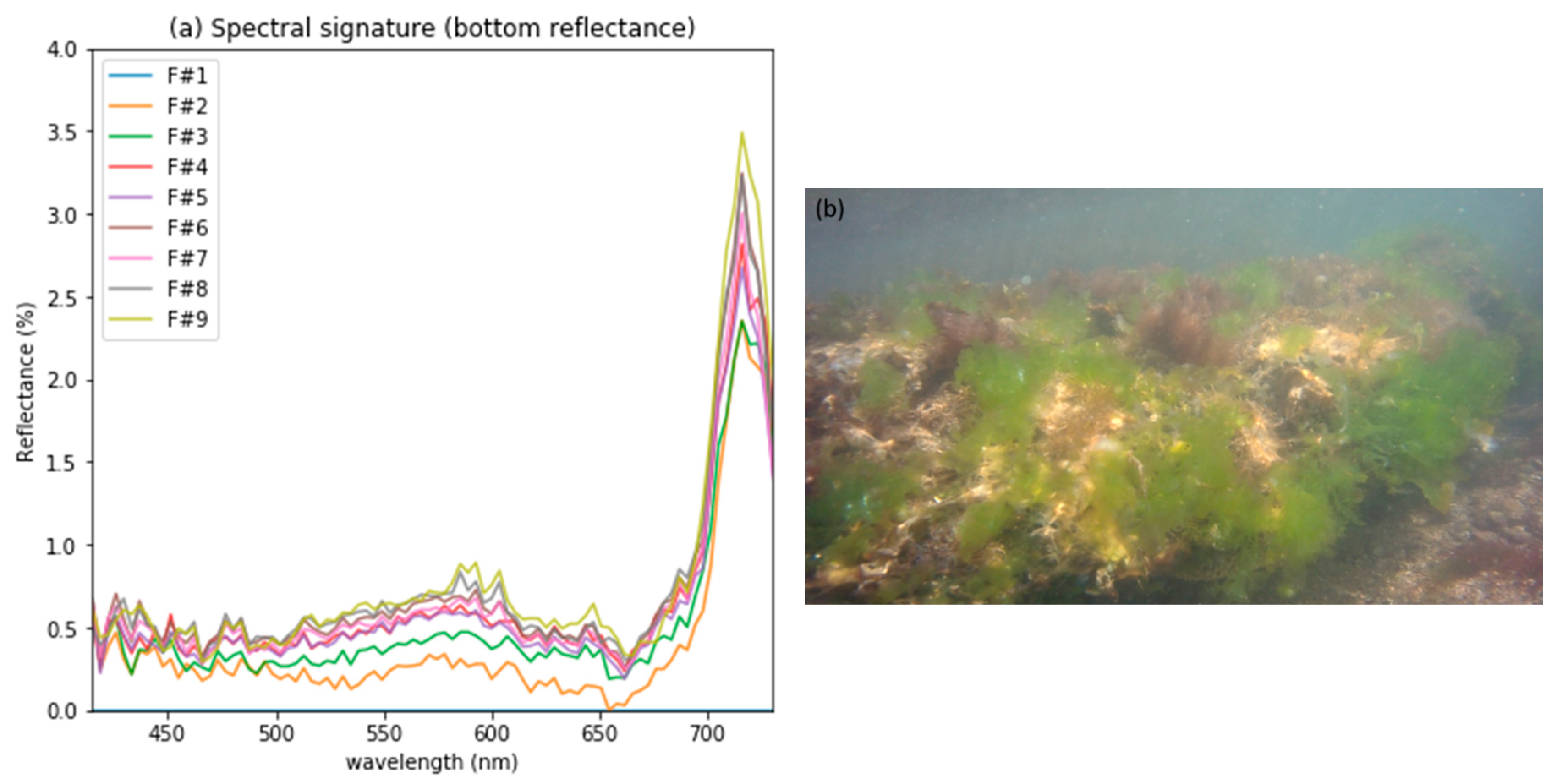 Remotesensing 11 02237 g011 Remotesensing 11 02237 g011