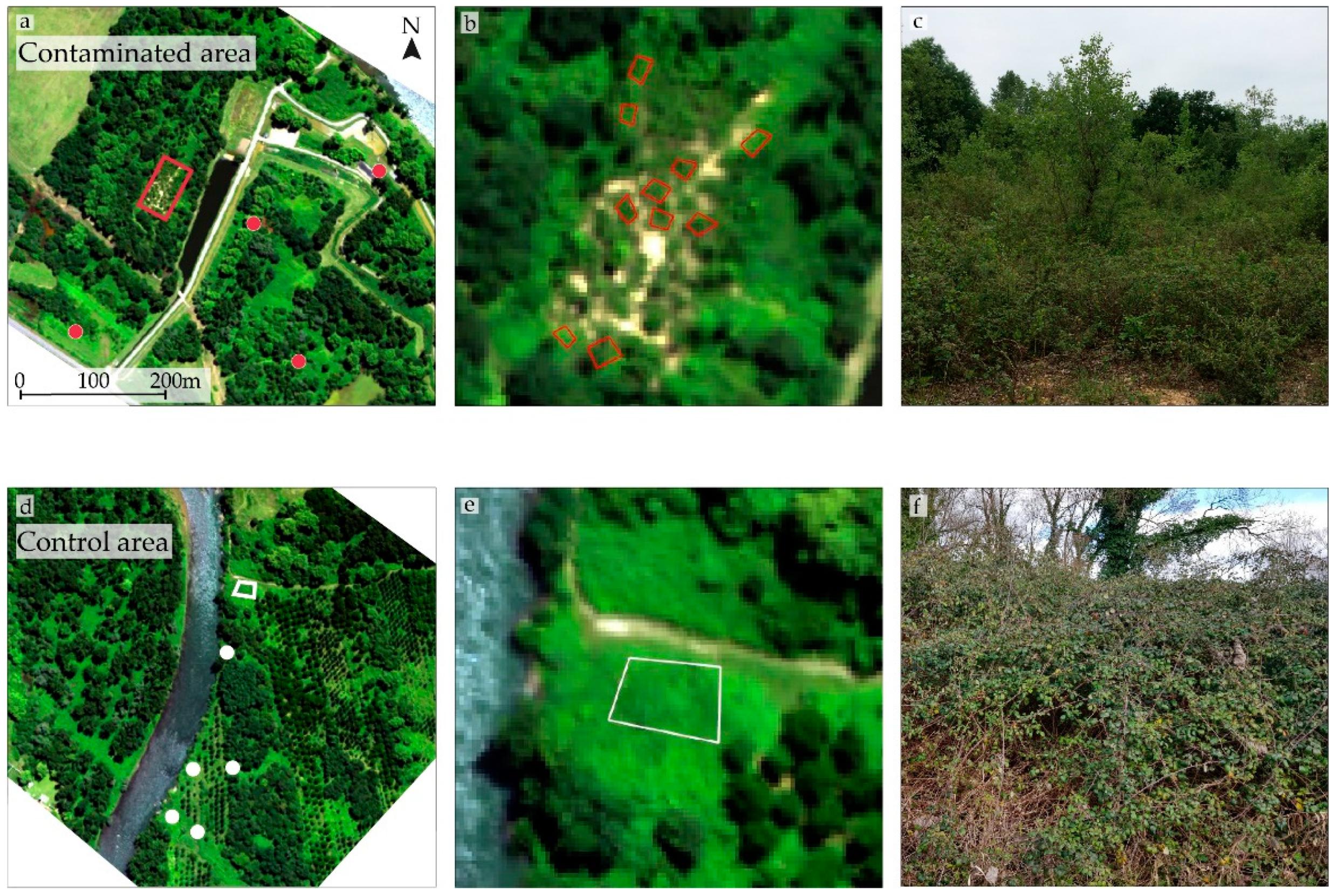 Remotesensing 11 02241 g001