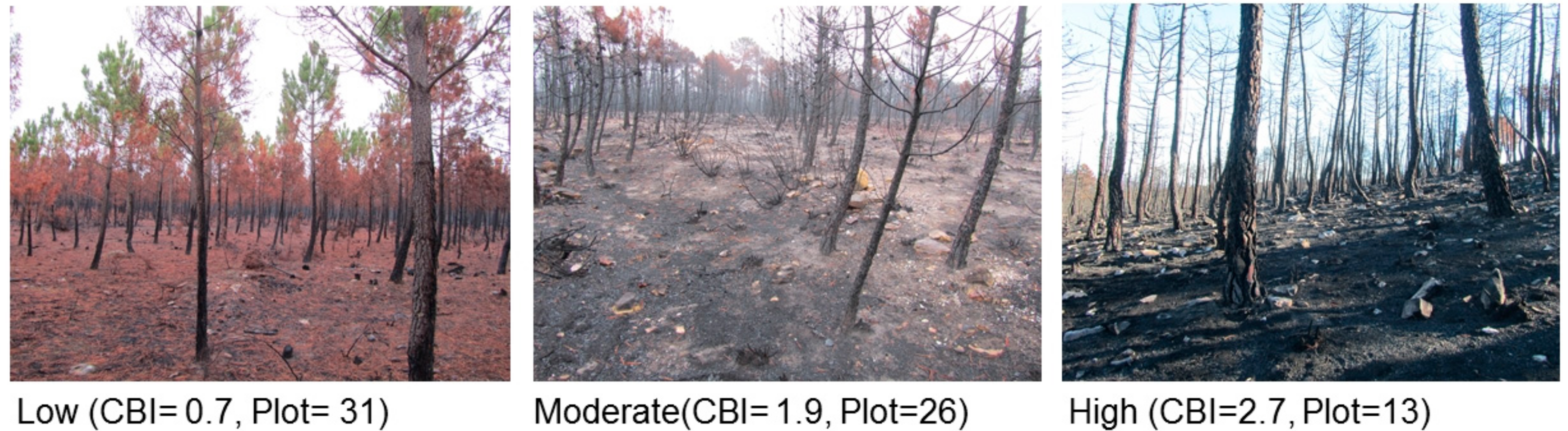 Remotesensing 11 02309 g002