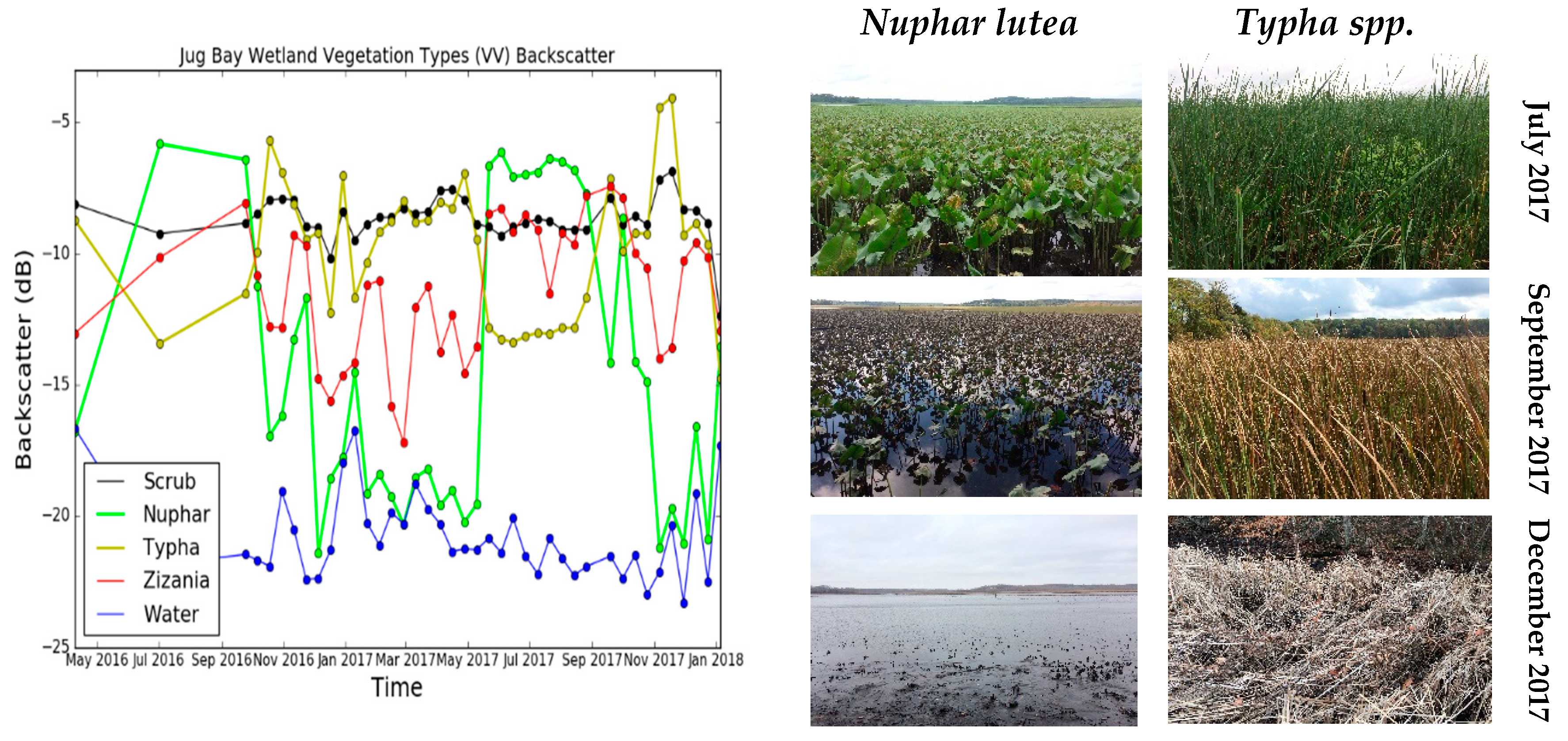 Remotesensing 11 02366 g012