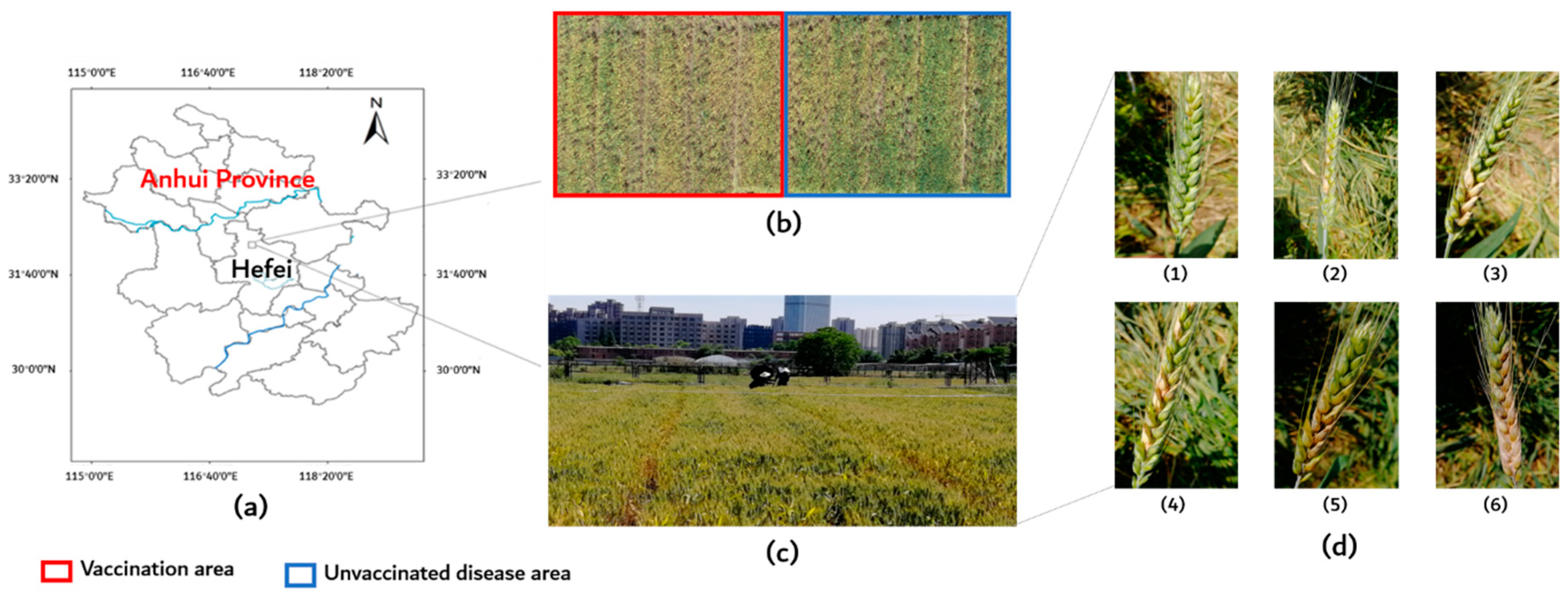 Remotesensing 11 02375 g001 Remotesensing 11 02375 g001