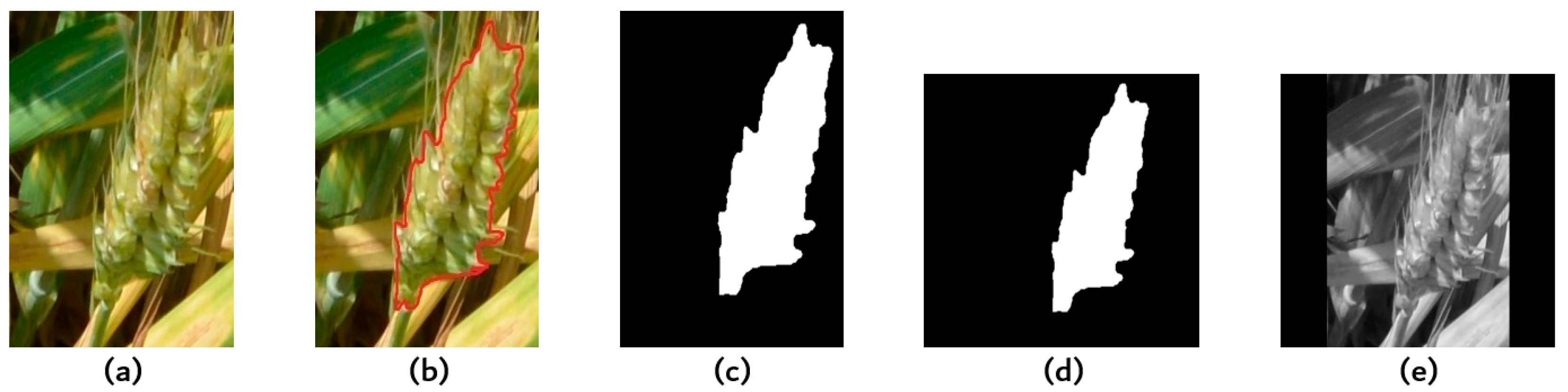 Remotesensing 11 02375 g002 Remotesensing 11 02375 g002
