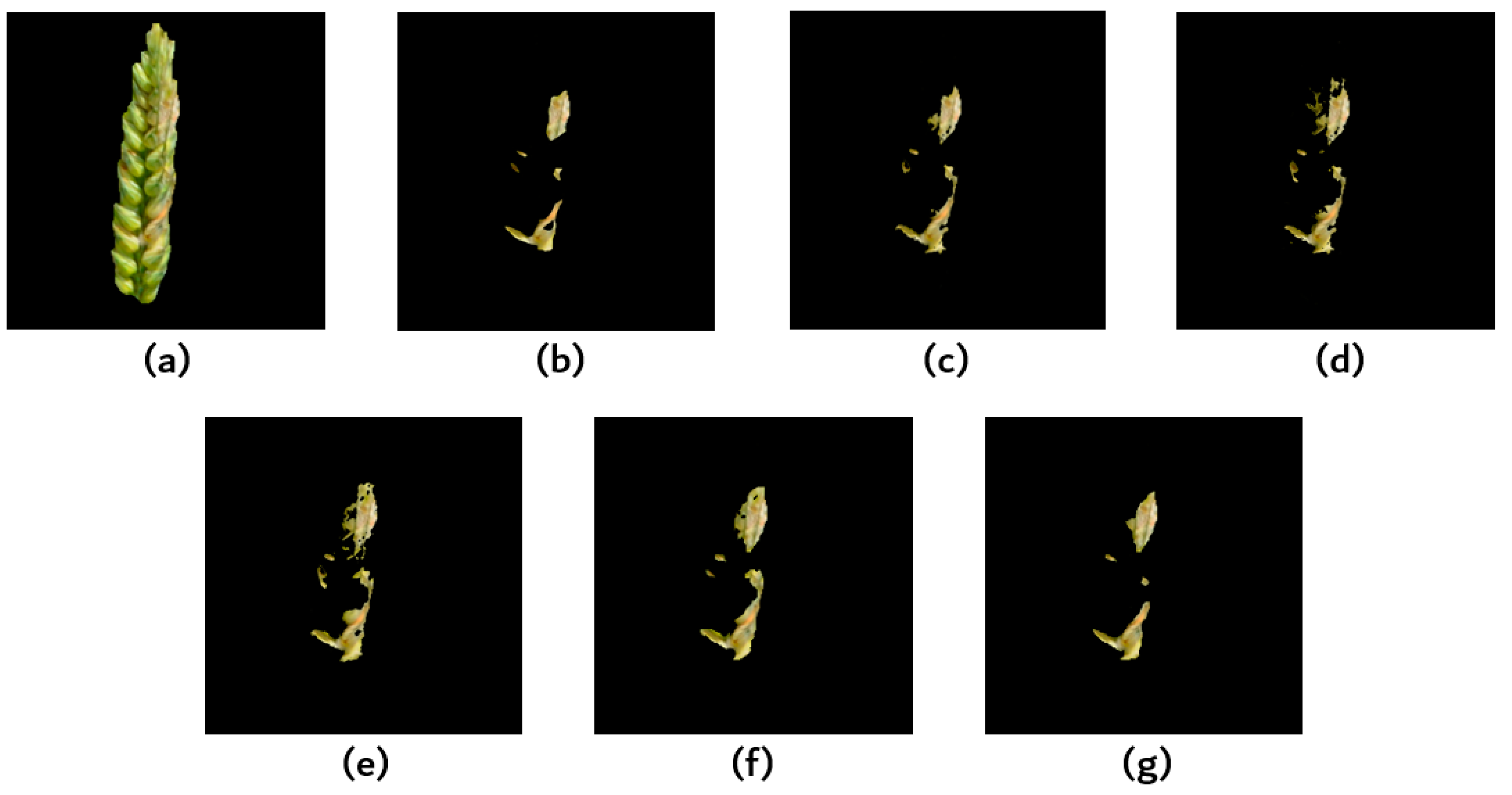 Remotesensing 11 02375 g009 Remotesensing 11 02375 g009