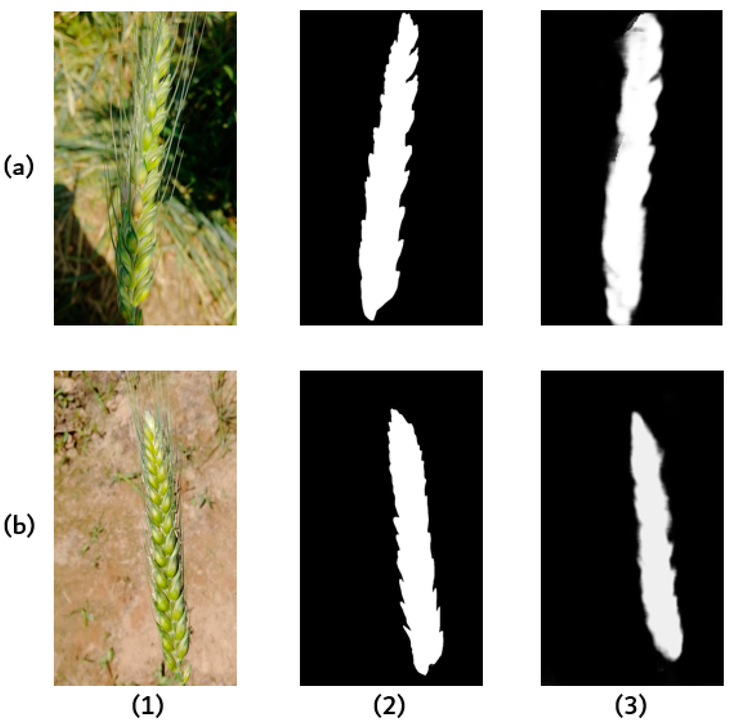Remotesensing 11 02375 g012 Remotesensing 11 02375 g012