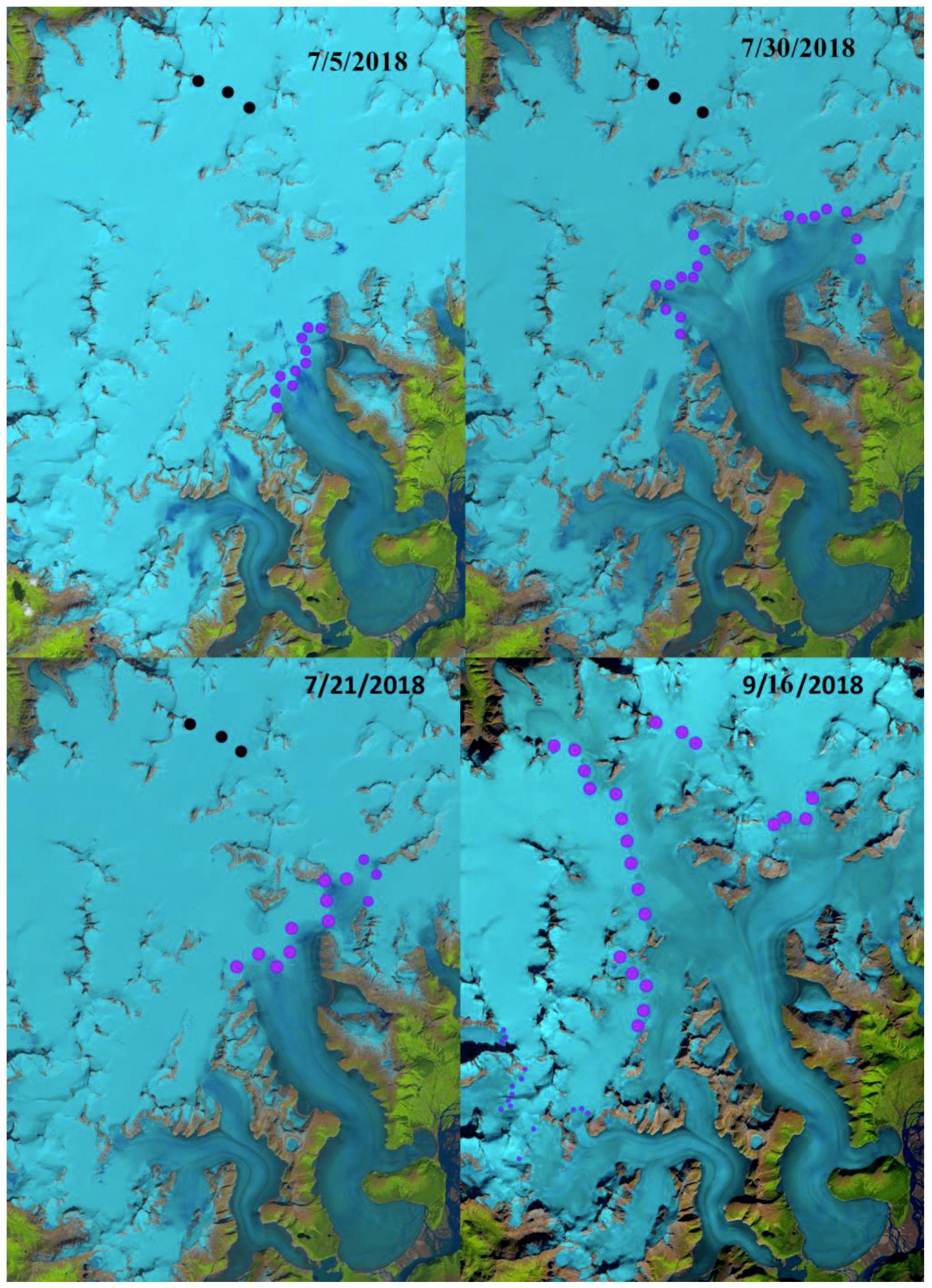 Remotesensing 11 02378 g003