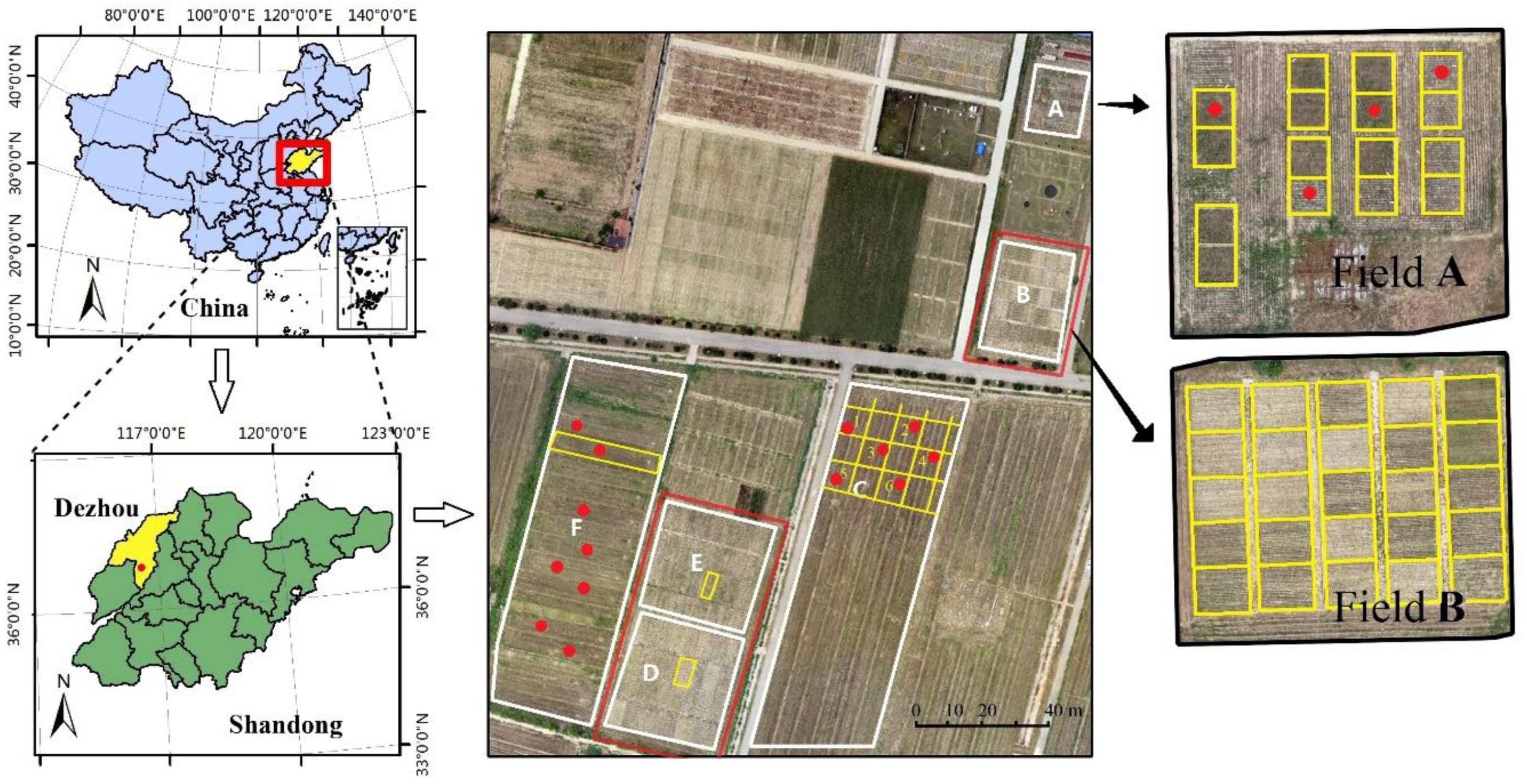 Remotesensing 11 02456 g001
