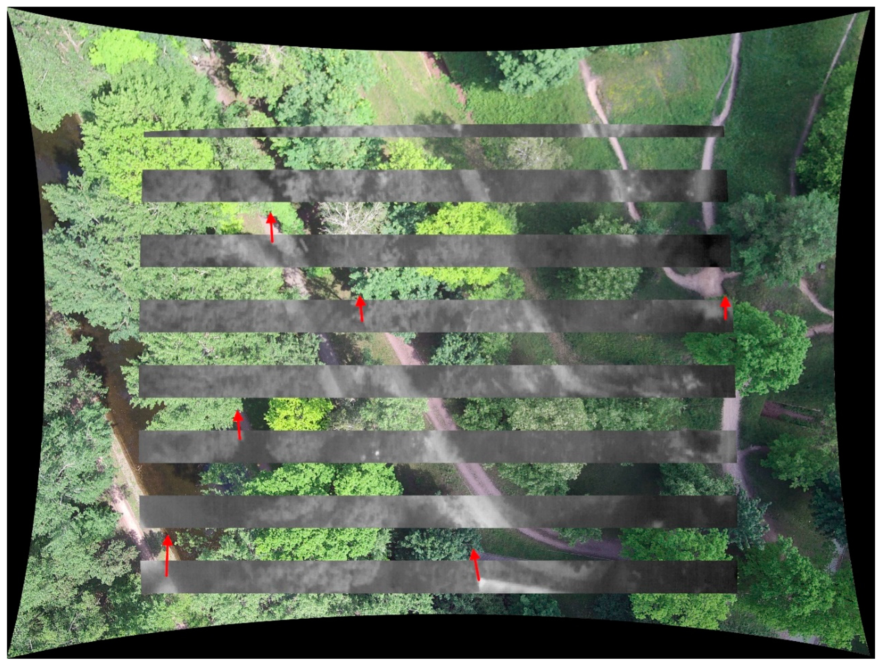 Remotesensing 11 02469 g010