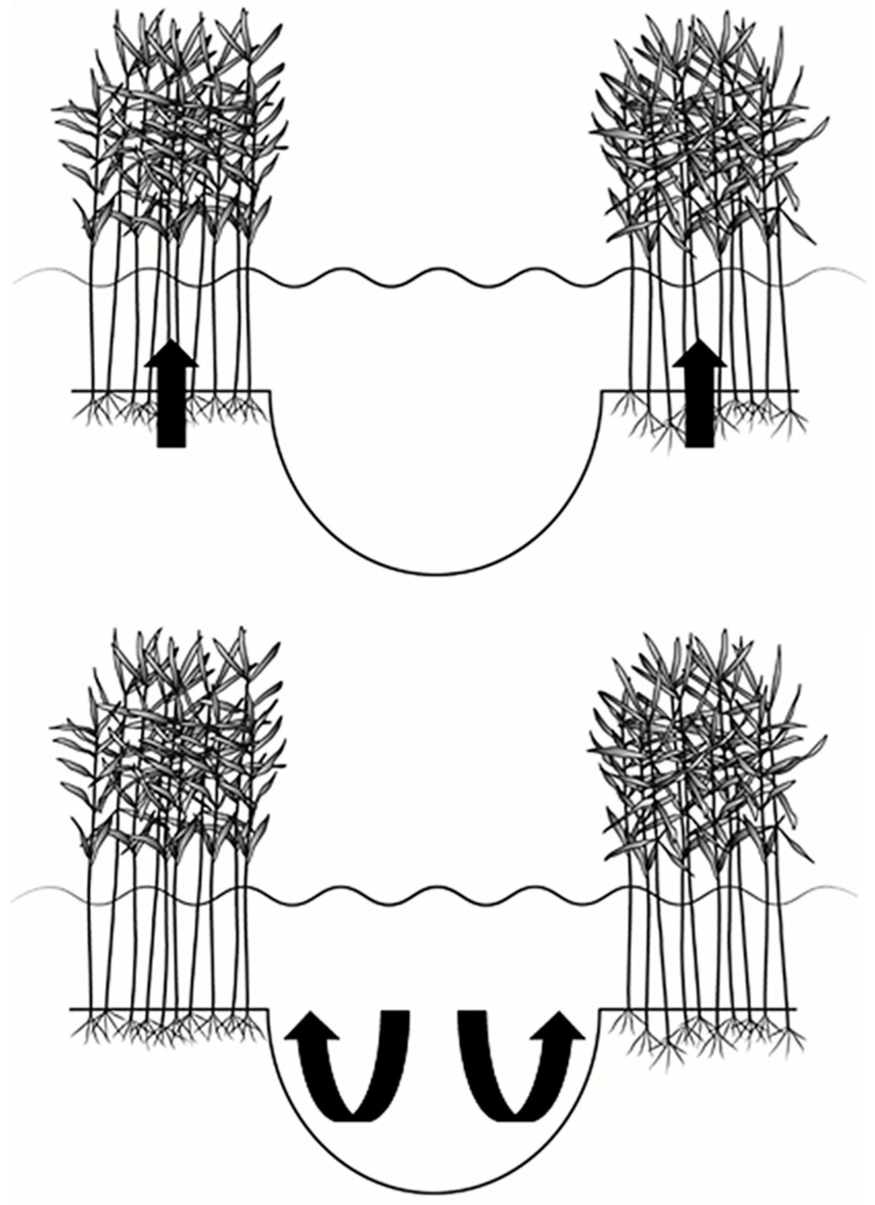 Remotesensing 11 02474 g018