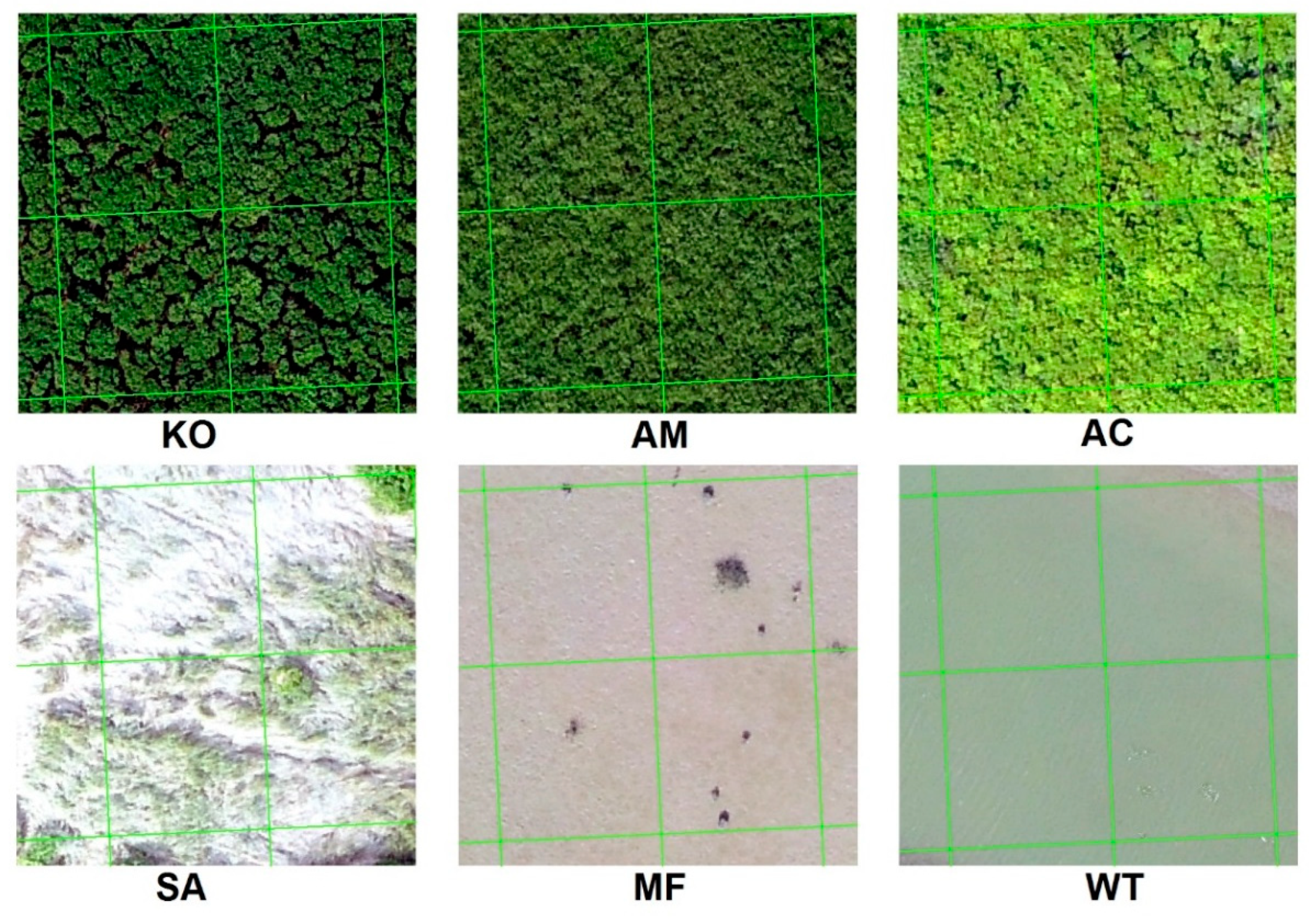 Remotesensing 11 02479 g004