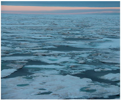 Remotesensing 11 02481 i005 Remotesensing 11 02481 i005