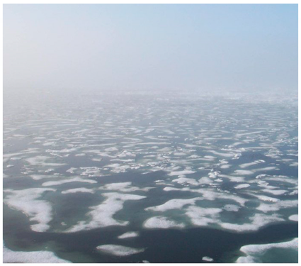 Remotesensing 11 02481 i006 Remotesensing 11 02481 i006