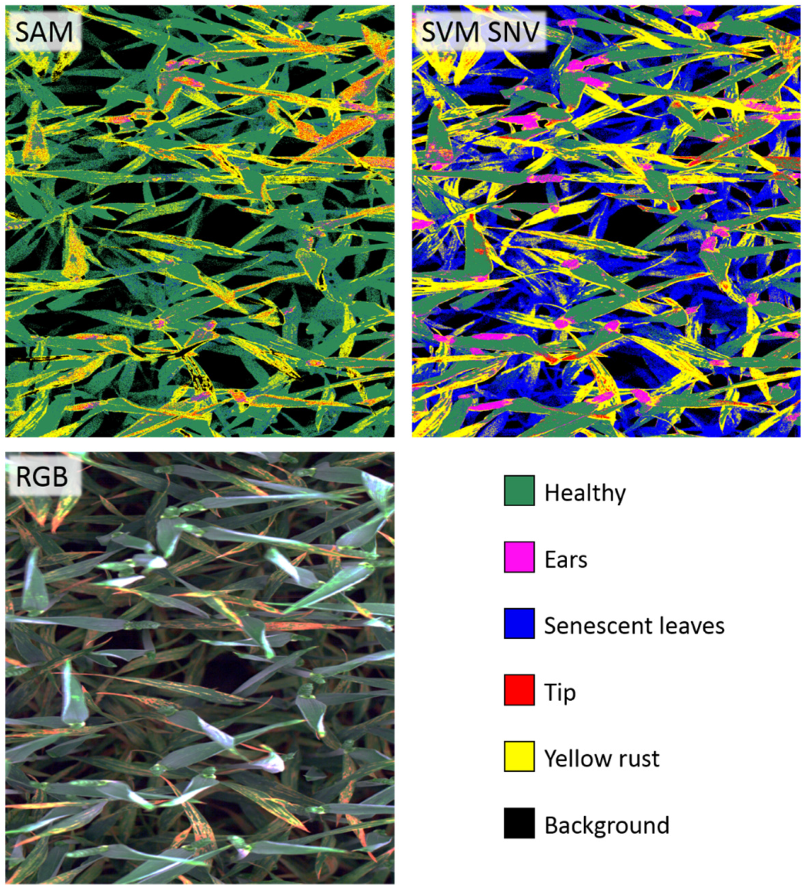 Remotesensing 11 02495 g005