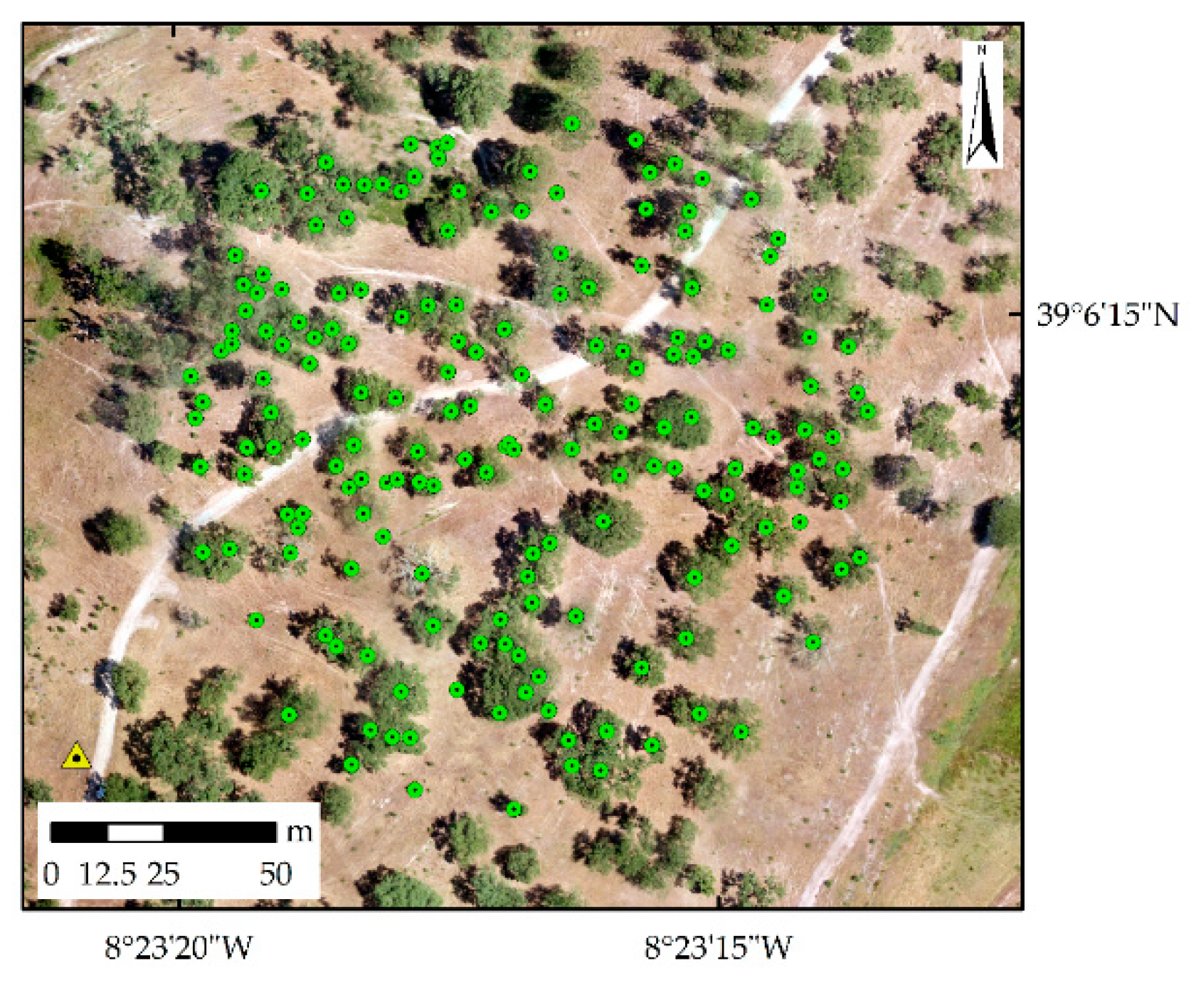 Remotesensing 11 02515 g002