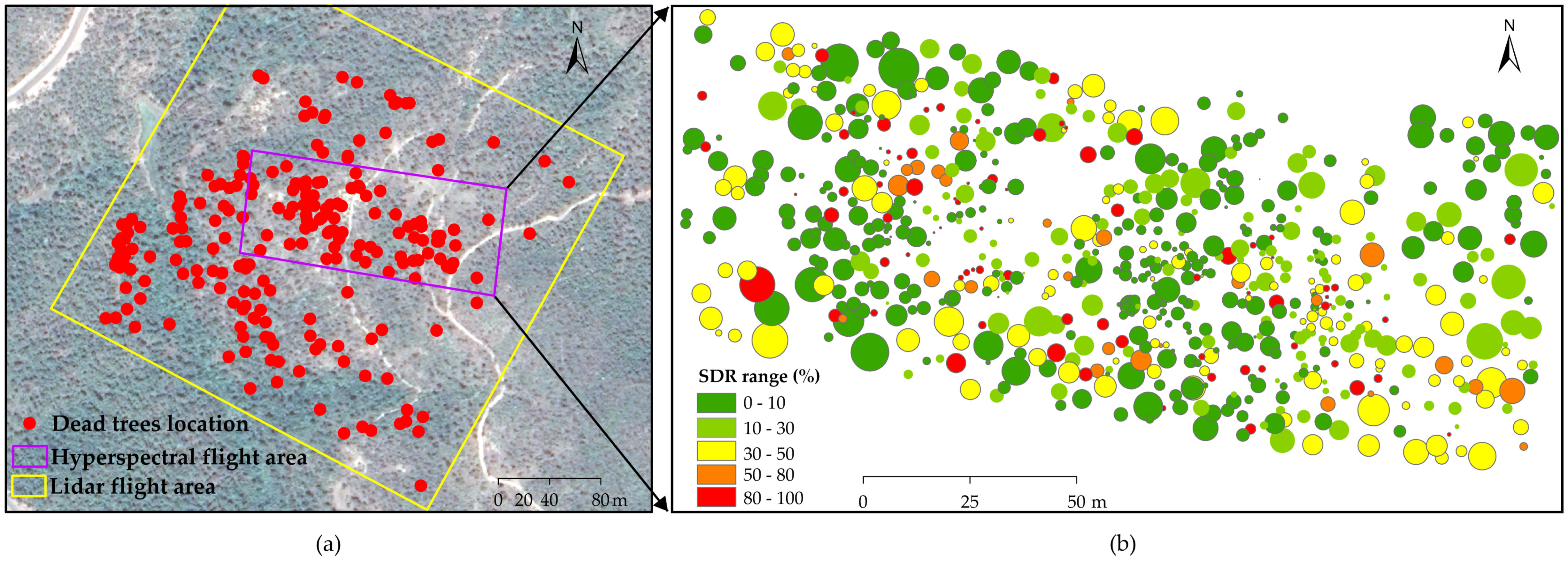 Remotesensing 11 02540 g010