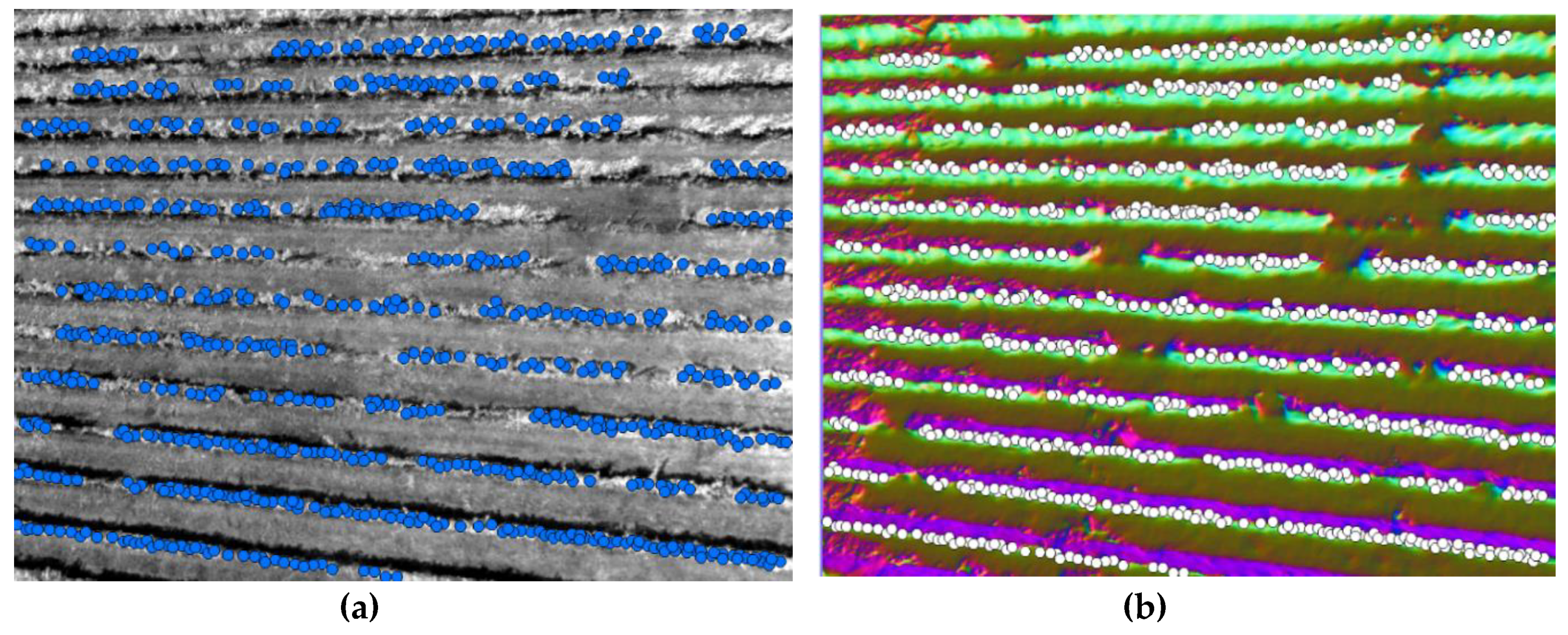 Remotesensing 11 02561 g007