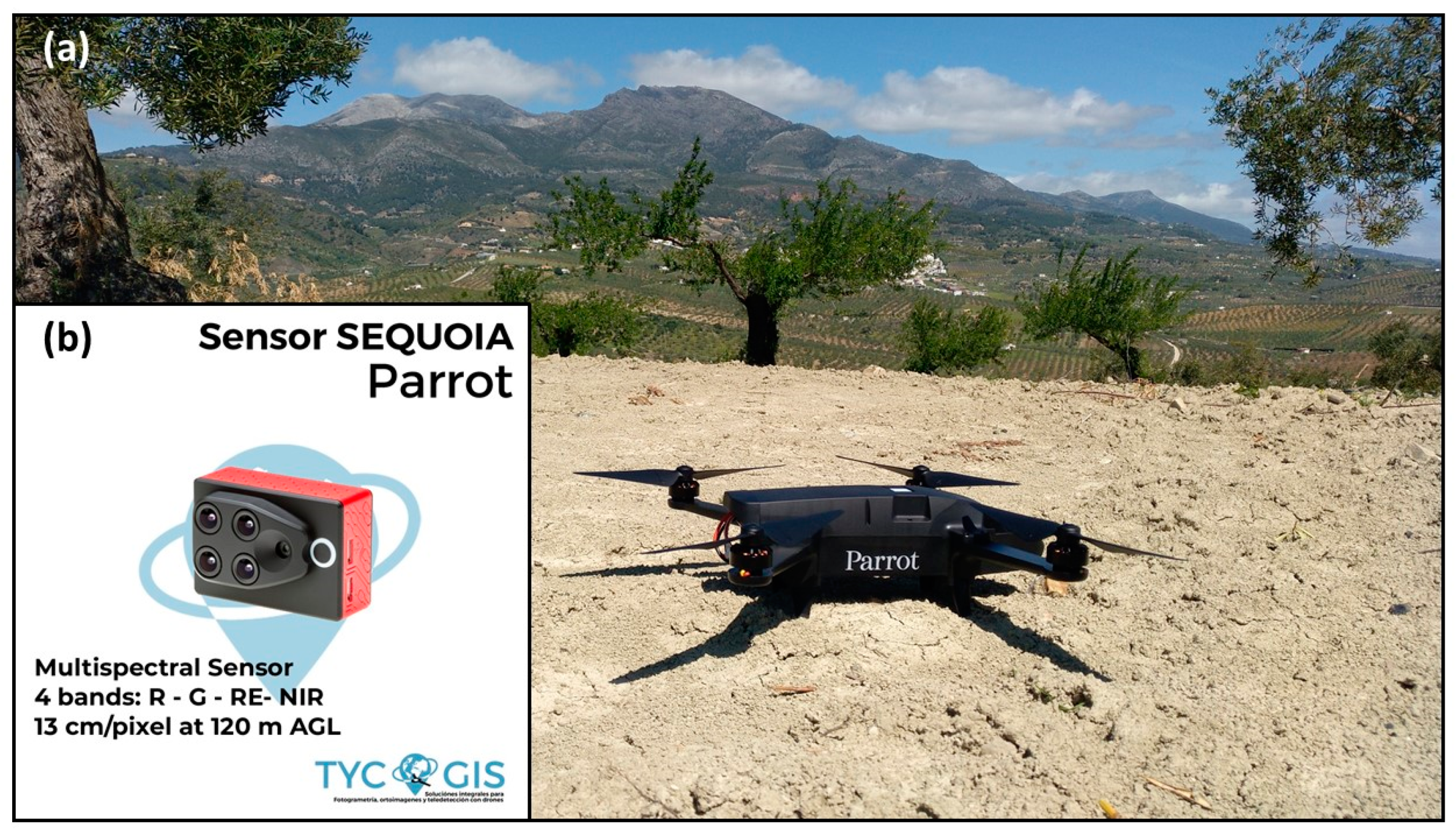 Remotesensing 11 02564 g003 Remotesensing 11 02564 g003