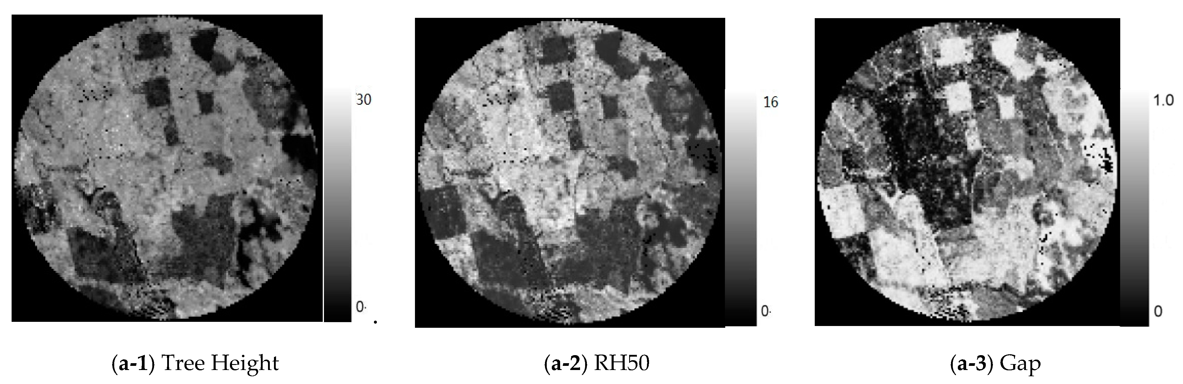 Remotesensing 11 02566 g003